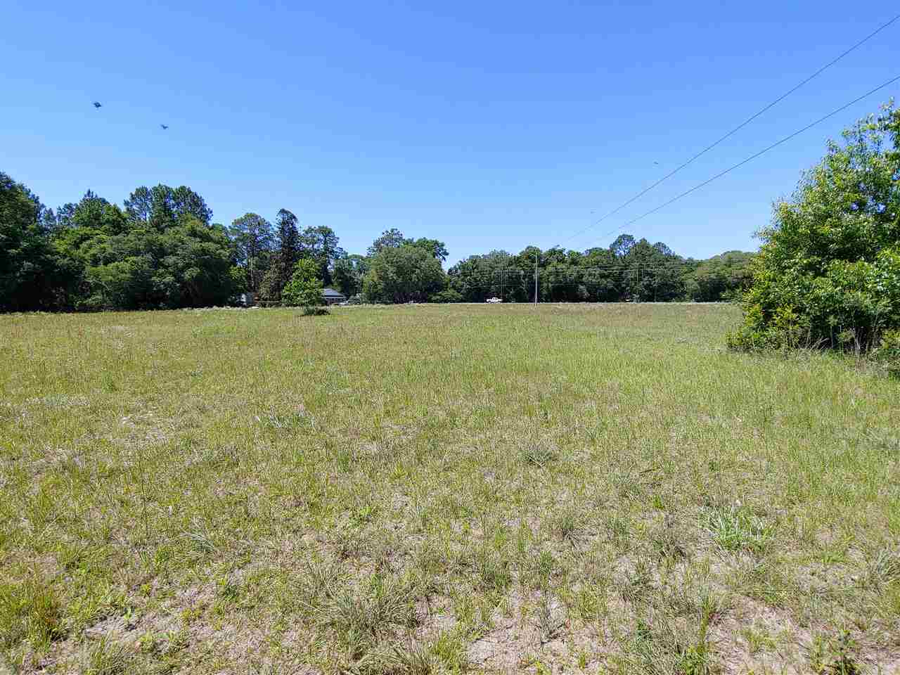 1954 US 221,PERRY,Florida 32347,Lots and land,US 221,332171