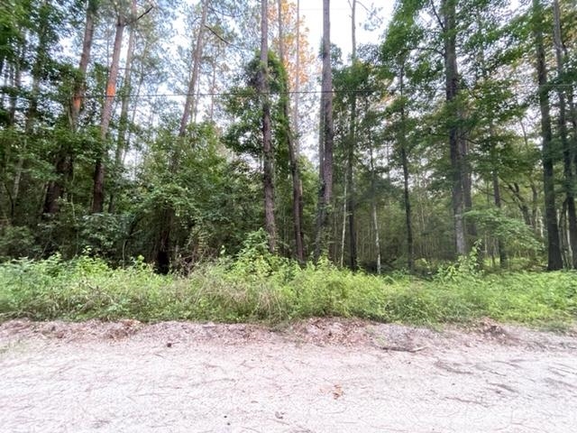xxx Red Gum,TALLAHASSEE,Florida 32304,Lots and land,Red Gum,346442