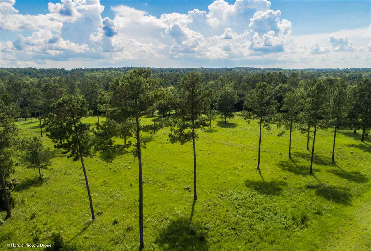 Lot 8 San Bonita,HAVANA,Florida 32333,Lots and land,San Bonita,1,346920