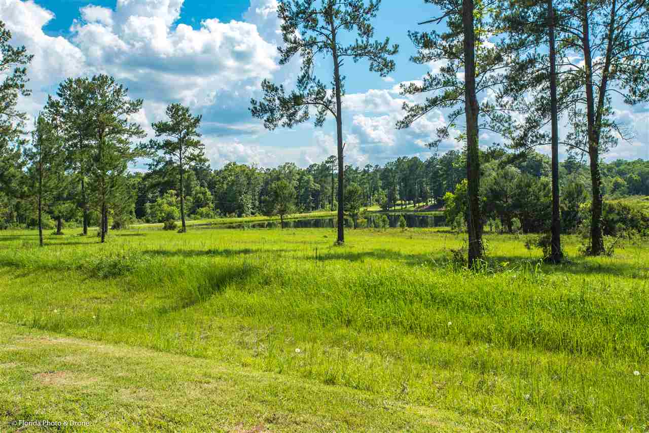 Lot 8 San Bonita,HAVANA,Florida 32333,Lots and land,San Bonita,1,346920