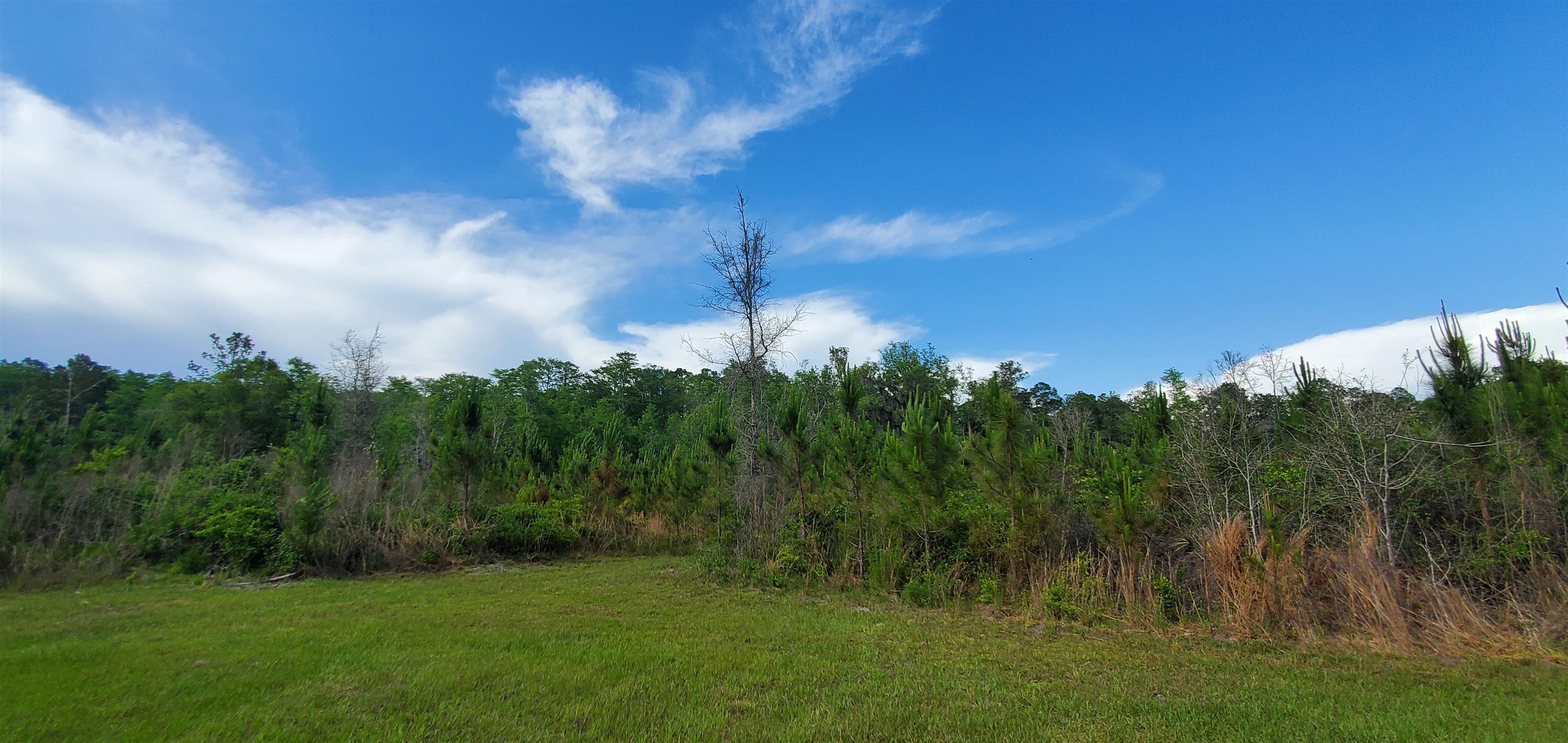 78.7 acres Vacant Mt Gilead,GREENVILLE,Florida 32331,Lots and land,Vacant Mt Gilead,345624