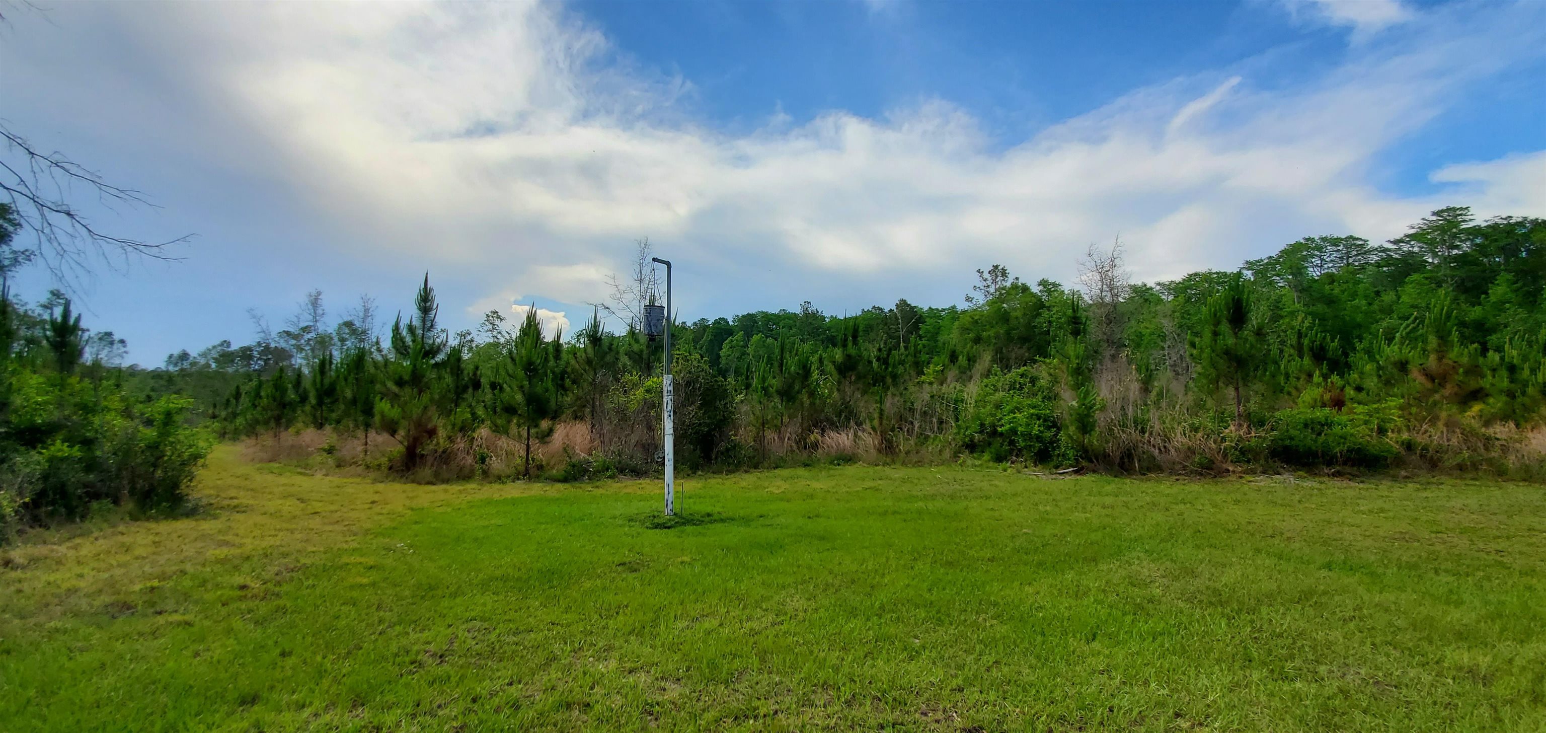 78.7 acres Vacant Mt Gilead,GREENVILLE,Florida 32331,Lots and land,Vacant Mt Gilead,345624