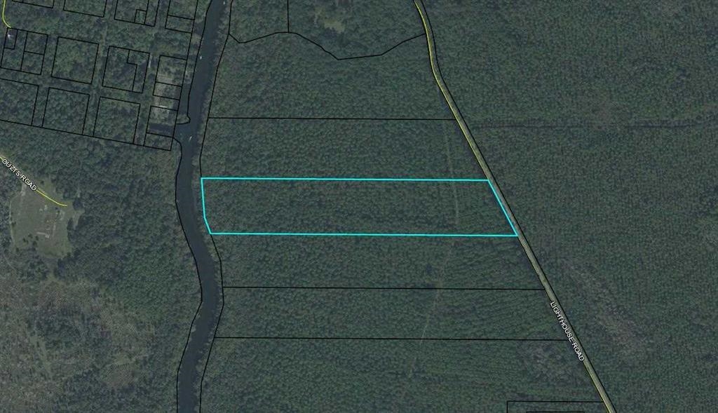 XXX Lighthouse Road,CRAWFORDVILLE,Florida 32327,Lots and land,Lighthouse Road,349224