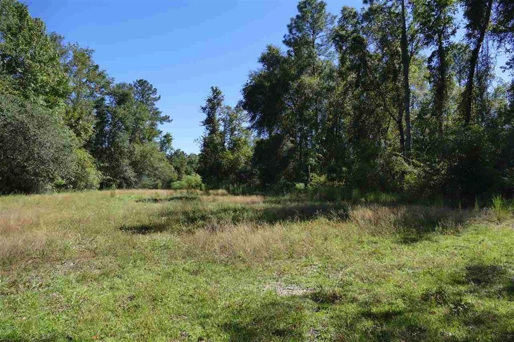 XXX Tiger Hammock Road,CRAWFORDVILLE,Florida 32327,Lots and land,Tiger Hammock Road,349329