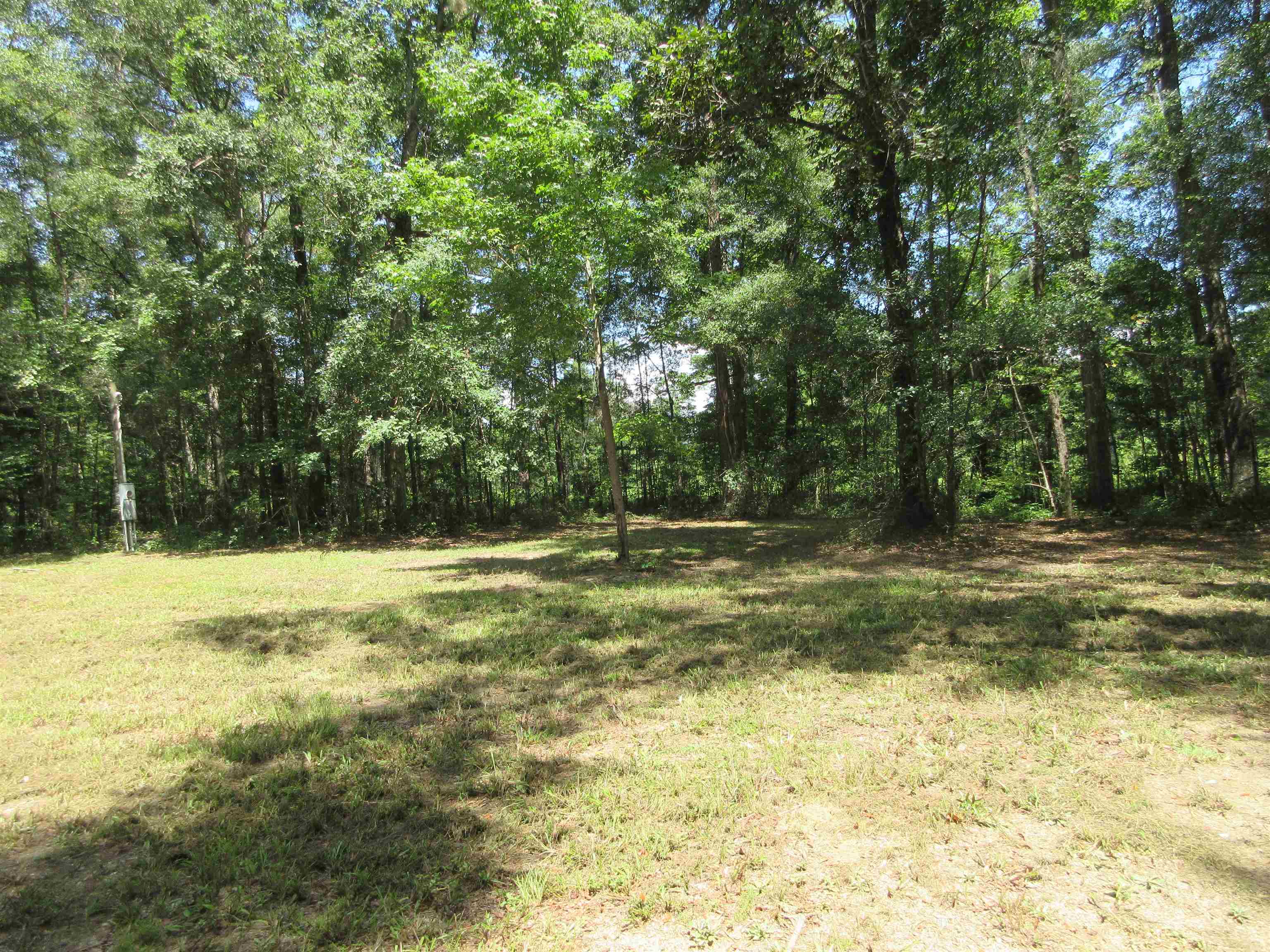 11228 Daddy Hall,TALLAHASSEE,Florida 32309,Lots and land,Daddy Hall,350673