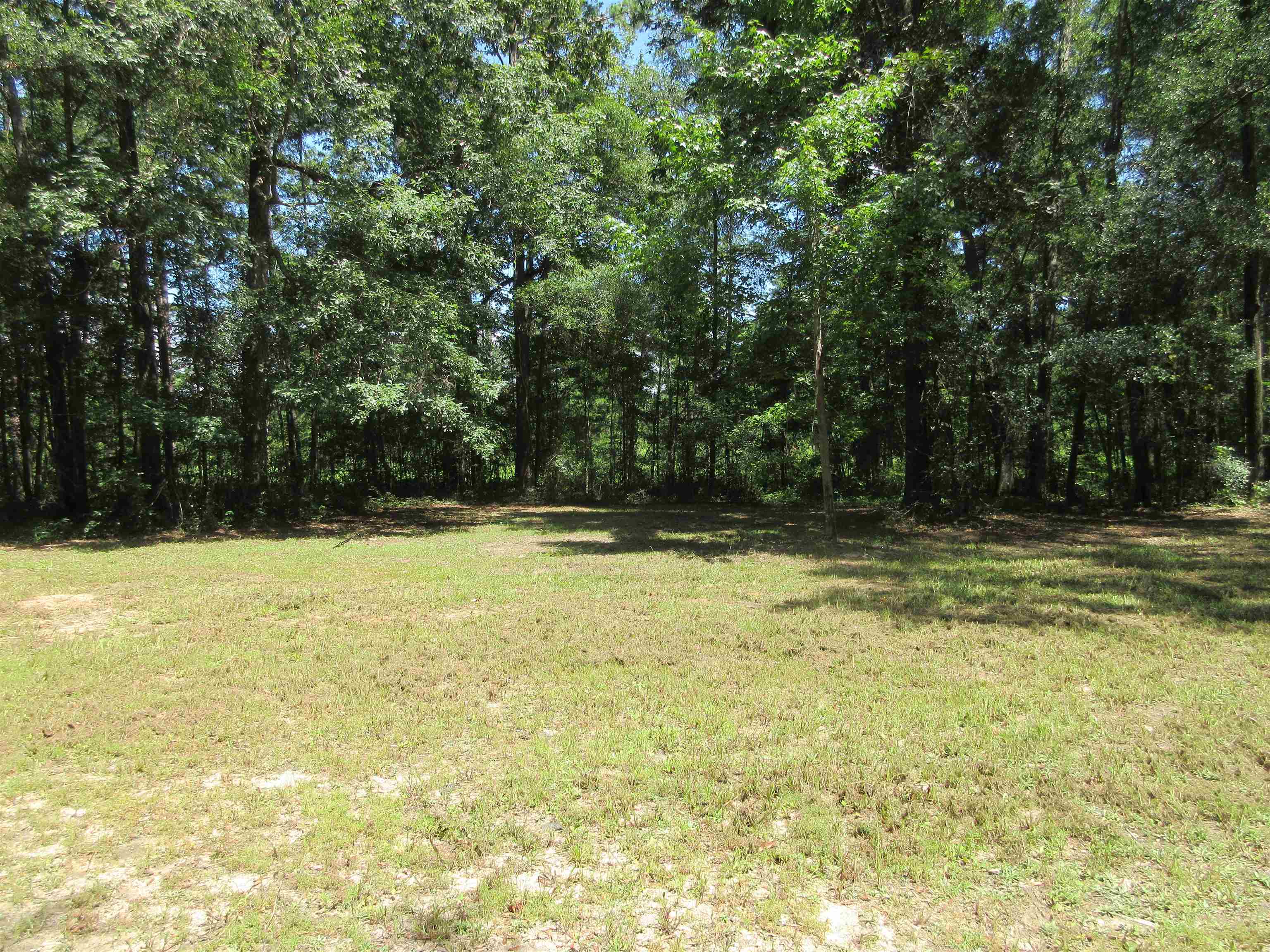 11228 Daddy Hall,TALLAHASSEE,Florida 32309,Lots and land,Daddy Hall,350673