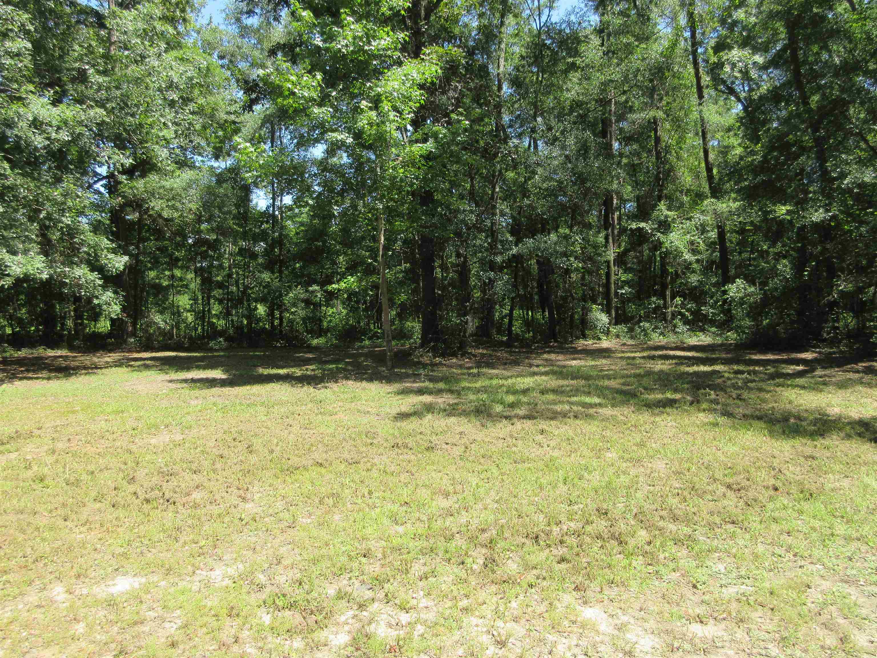 11228 Daddy Hall,TALLAHASSEE,Florida 32309,Lots and land,Daddy Hall,350673