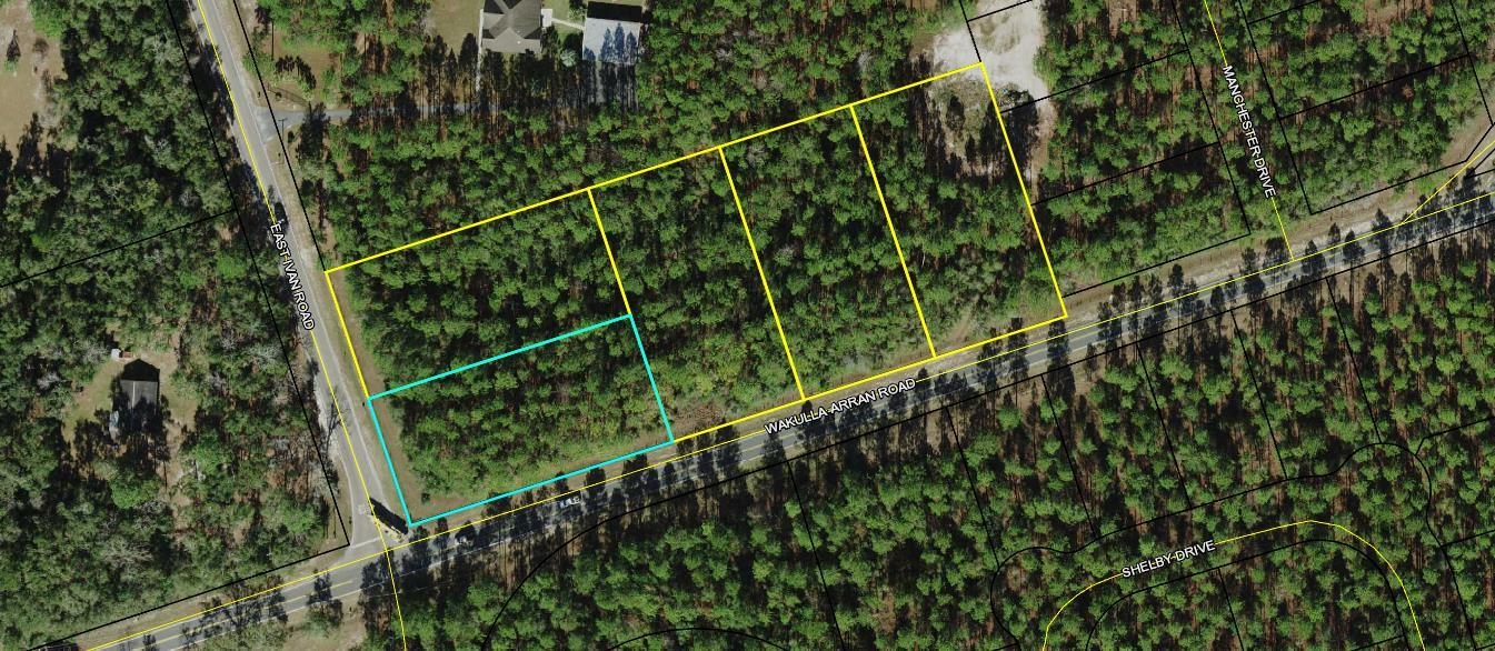 Lot 3 & 4 East Ivan,CRAWFORDVILLE,Florida 32327,Lots and land,East Ivan,350965