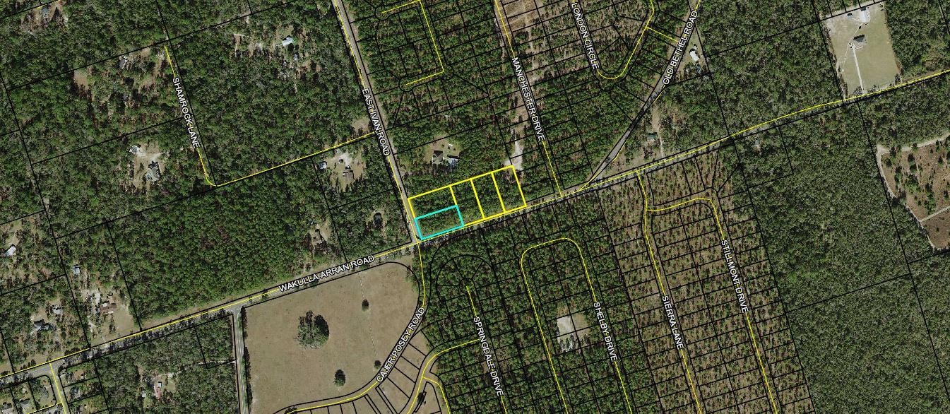 Lot 3 & 4 East Ivan,CRAWFORDVILLE,Florida 32327,Lots and land,East Ivan,350965