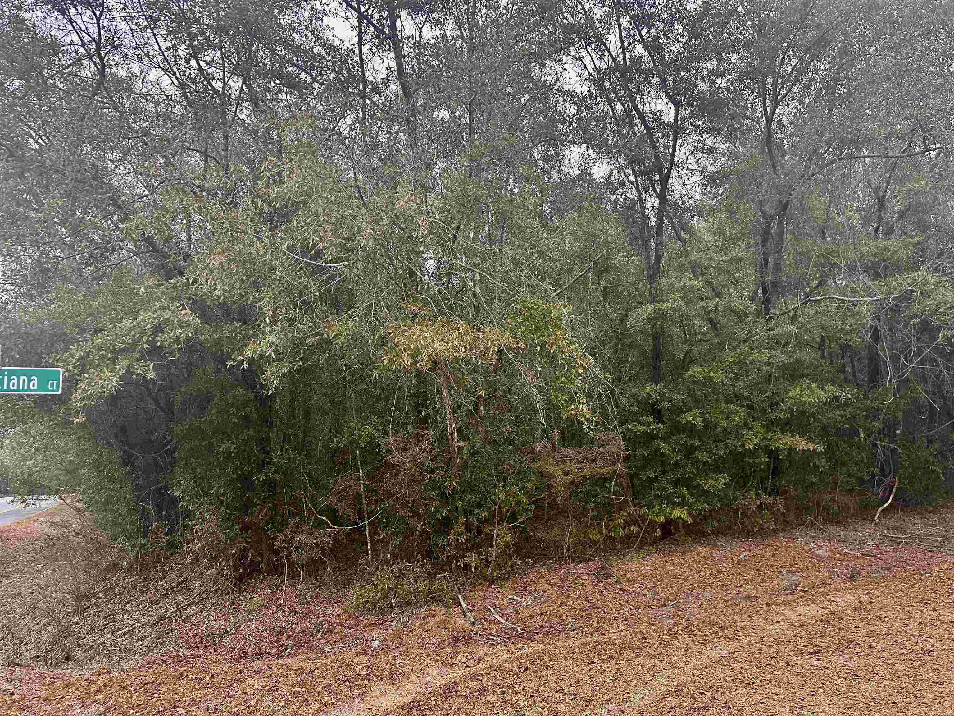 Lot 1 Luther Hall,TALLAHASSEE,Florida 32310,Lots and land,Luther Hall,368259