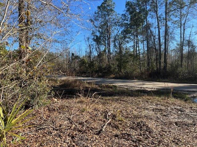 TBD Open Sands,GREENVILLE,Florida 32331-0000,Lots and land,Open Sands,368278