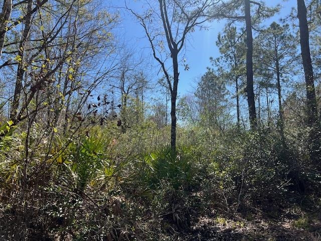 TBD Open Sands,GREENVILLE,Florida 32331-0000,Lots and land,Open Sands,368278