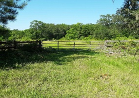 tbd Taylor,MONTICELLO,Florida 32344,Lots and land,Taylor,365176