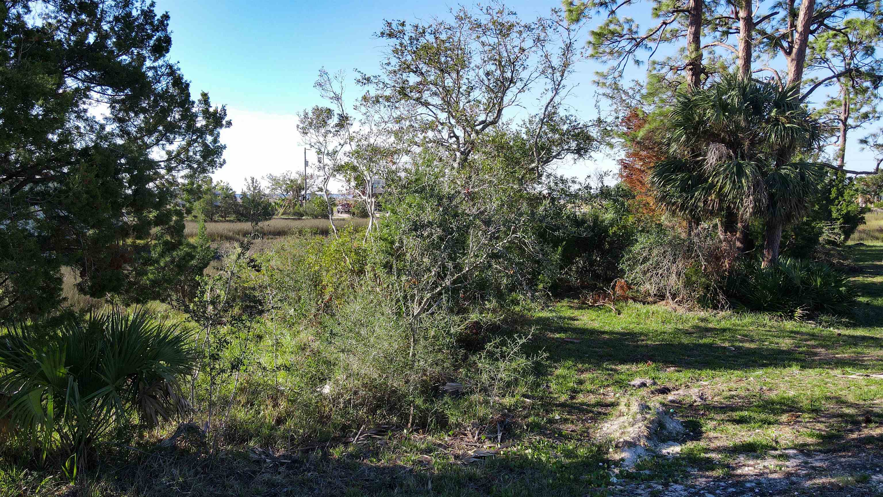 0 Ezell Beach,PERRY,Florida 32348,Lots and land,Ezell Beach,365198