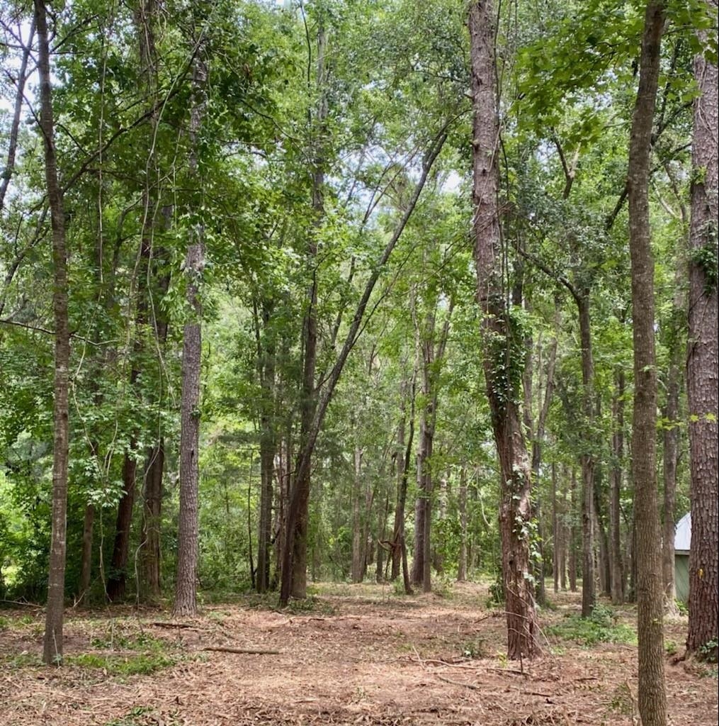 Lot 12 Charles Samuel,TALLAHASSEE,Florida 32309,Lots and land,Charles Samuel,365226