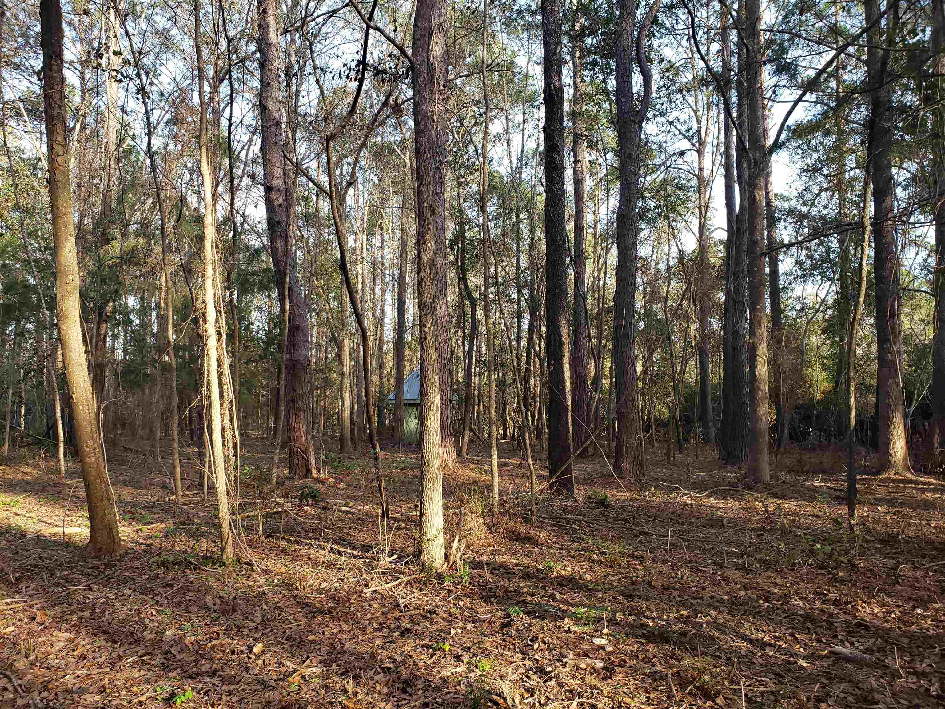 Lot 12 Charles Samuel,TALLAHASSEE,Florida 32309,Lots and land,Charles Samuel,365226