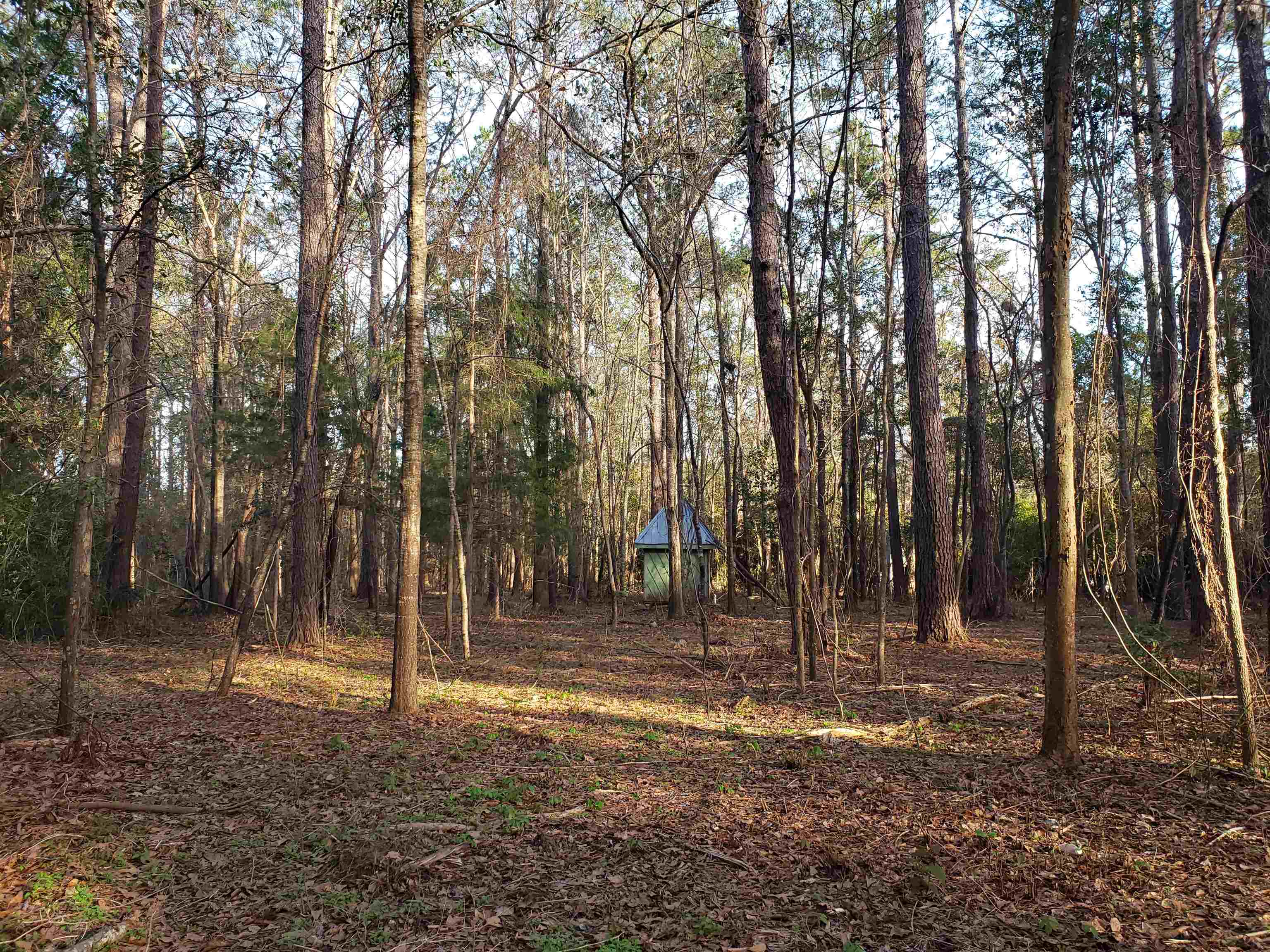 Lot 12 Charles Samuel,TALLAHASSEE,Florida 32309,Lots and land,Charles Samuel,365226