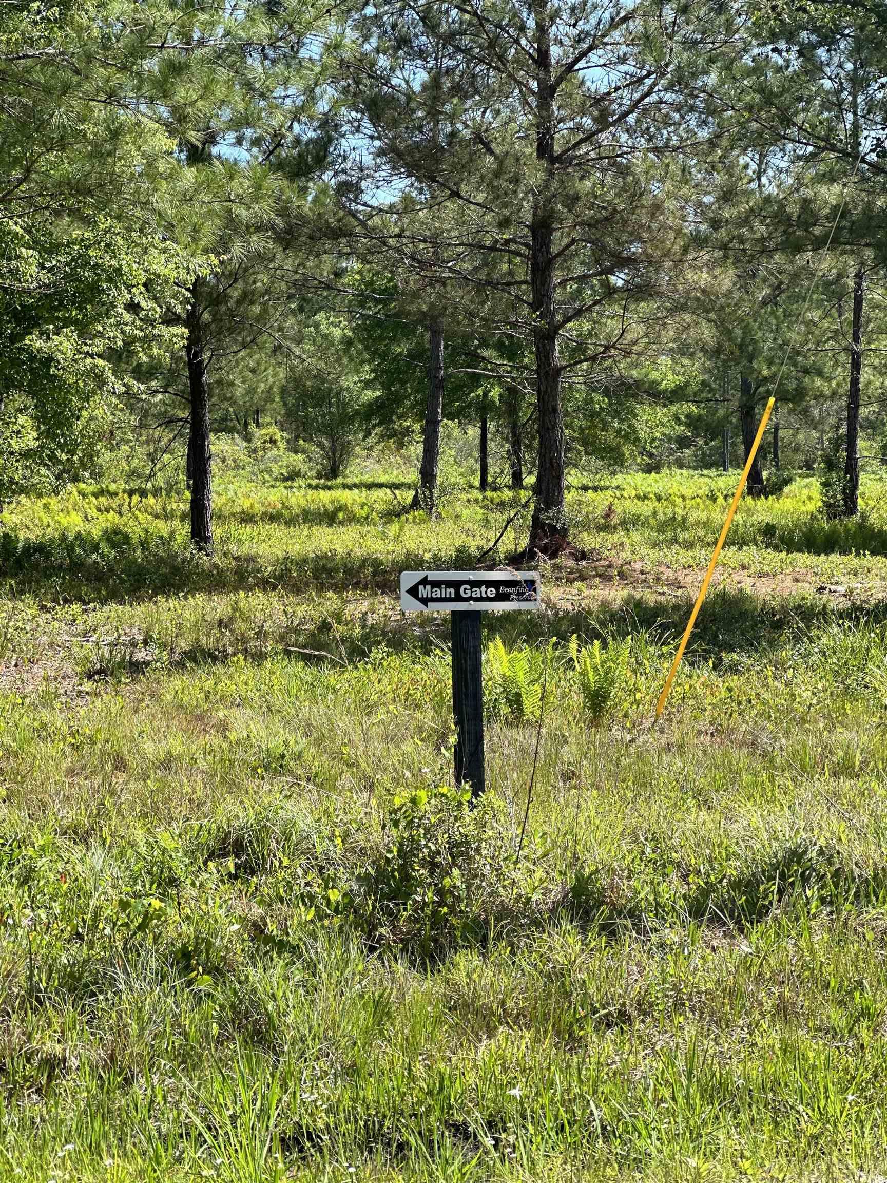 Lot 37 MCMULLEN BRIDGE RD,PERRY,Florida 32347,Lots and land,MCMULLEN BRIDGE RD,357545