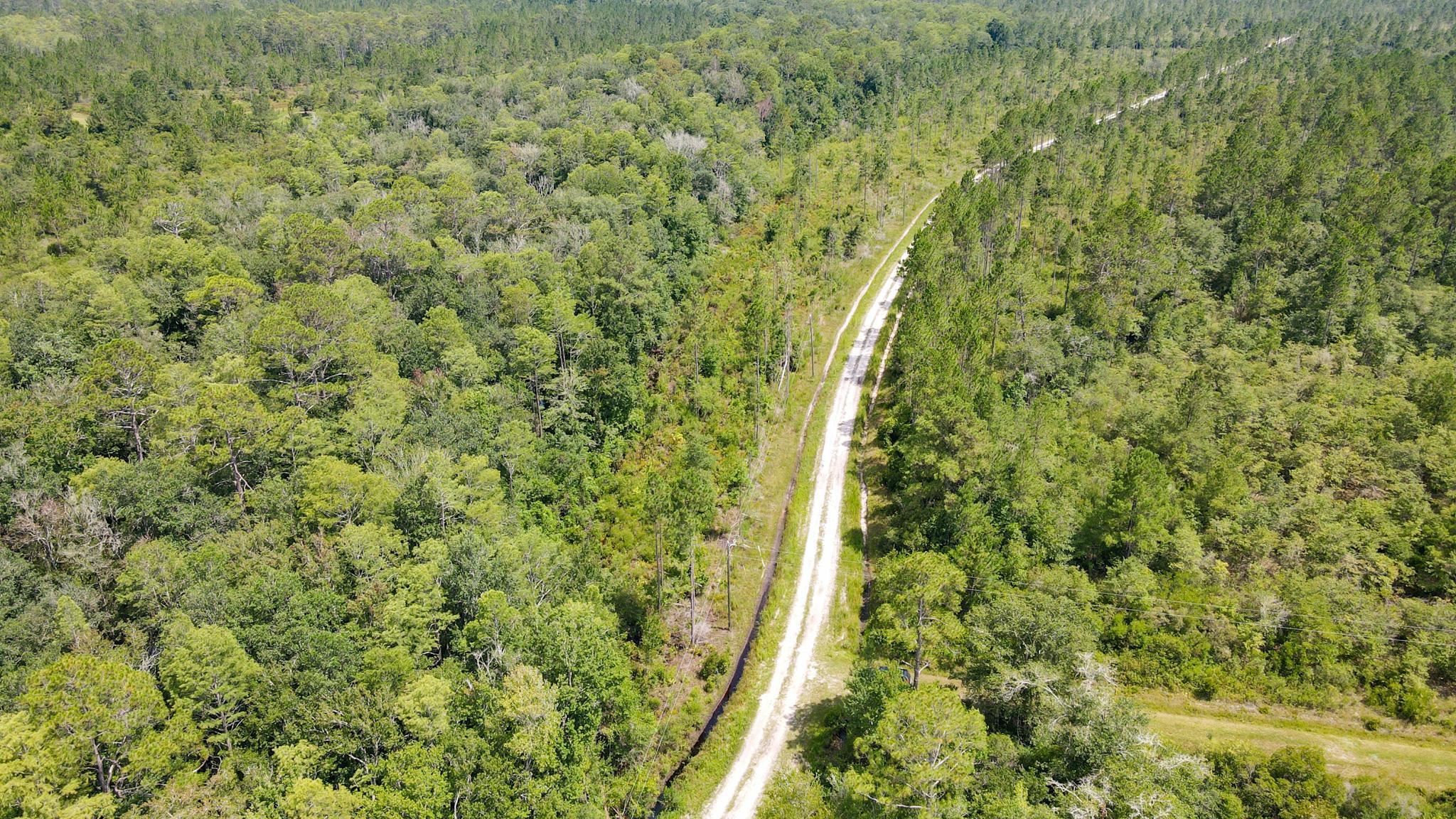 Lot 37 MCMULLEN BRIDGE RD,PERRY,Florida 32347,Lots and land,MCMULLEN BRIDGE RD,357545