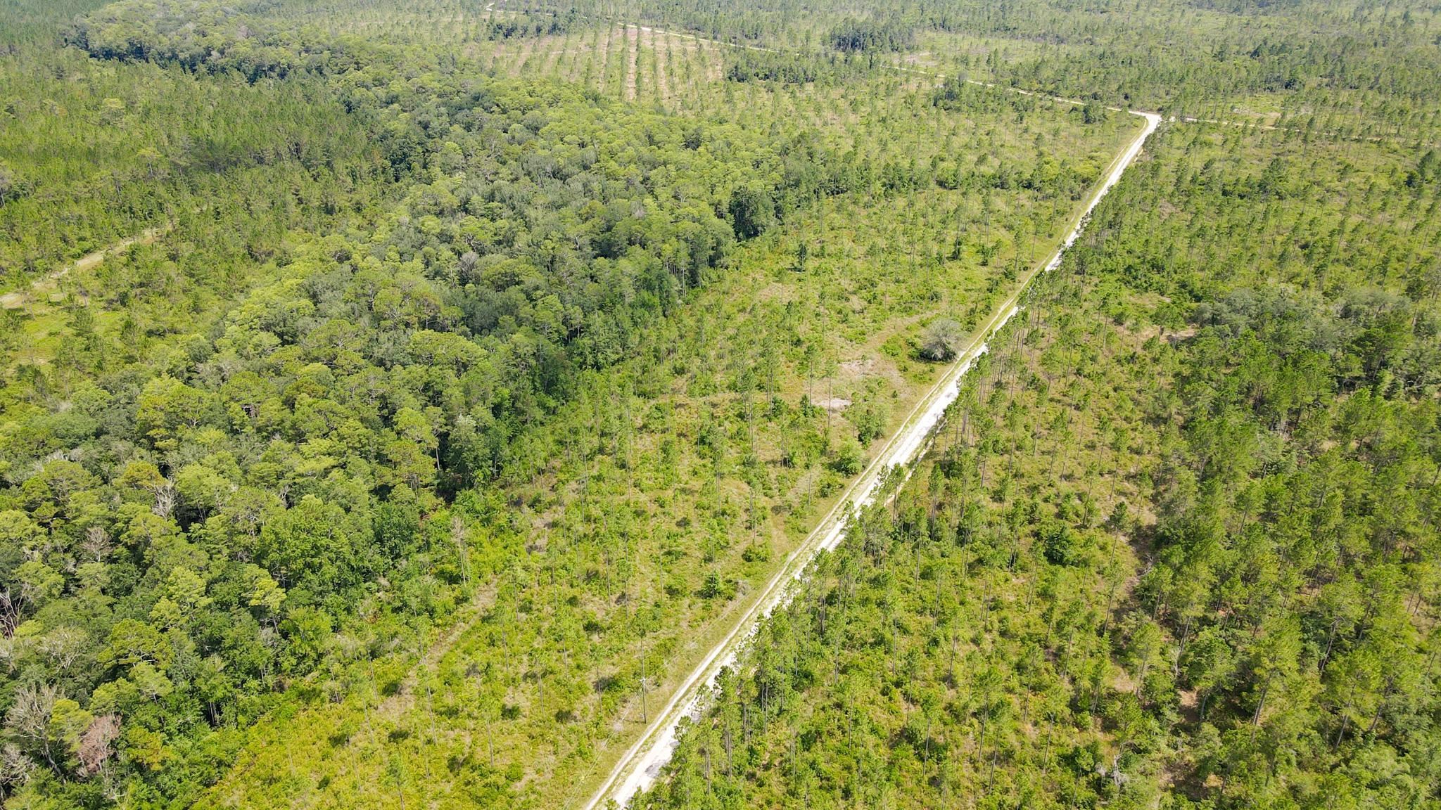 Lot 37 MCMULLEN BRIDGE RD,PERRY,Florida 32347,Lots and land,MCMULLEN BRIDGE RD,357545