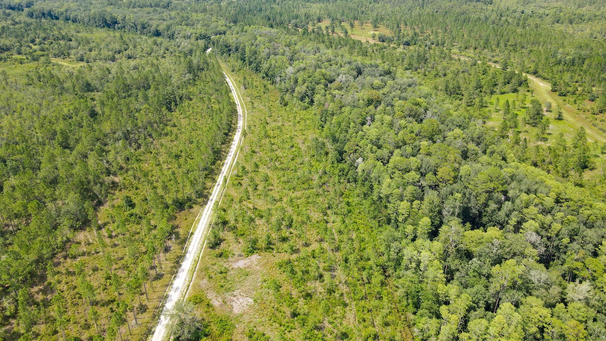 Lot 37 MCMULLEN BRIDGE RD,PERRY,Florida 32347,Lots and land,MCMULLEN BRIDGE RD,357545