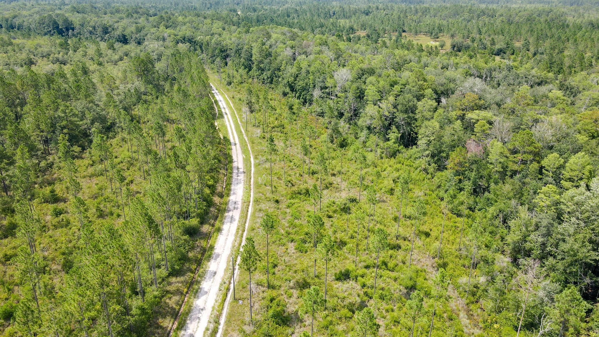 Lot 37 MCMULLEN BRIDGE RD,PERRY,Florida 32347,Lots and land,MCMULLEN BRIDGE RD,357545