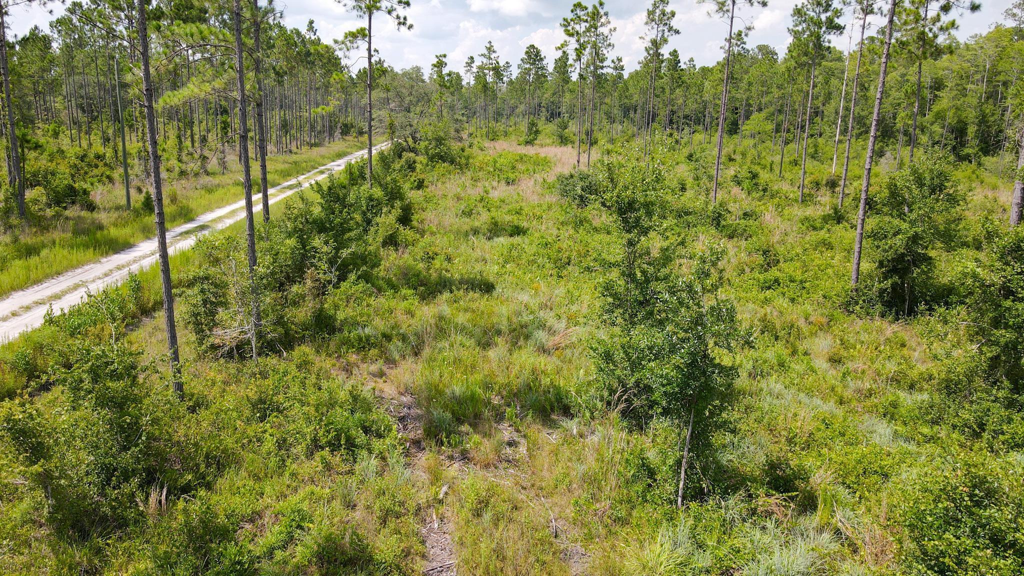 Lot 37 MCMULLEN BRIDGE RD,PERRY,Florida 32347,Lots and land,MCMULLEN BRIDGE RD,357545