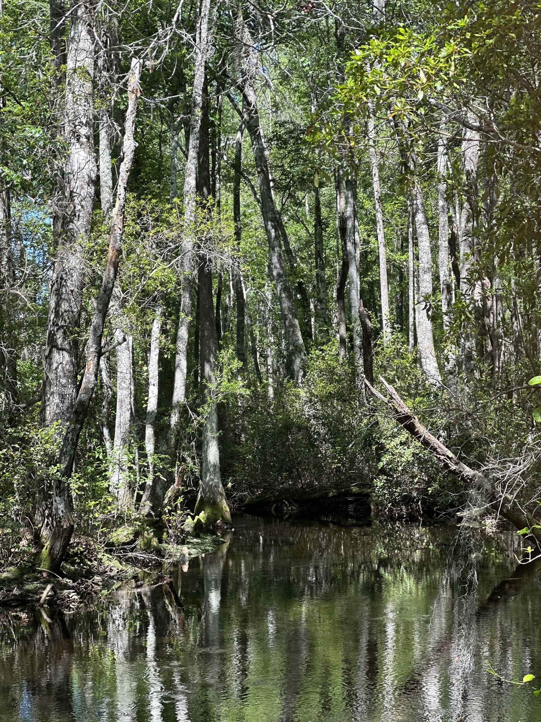 Lot 37 MCMULLEN BRIDGE RD,PERRY,Florida 32347,Lots and land,MCMULLEN BRIDGE RD,357545