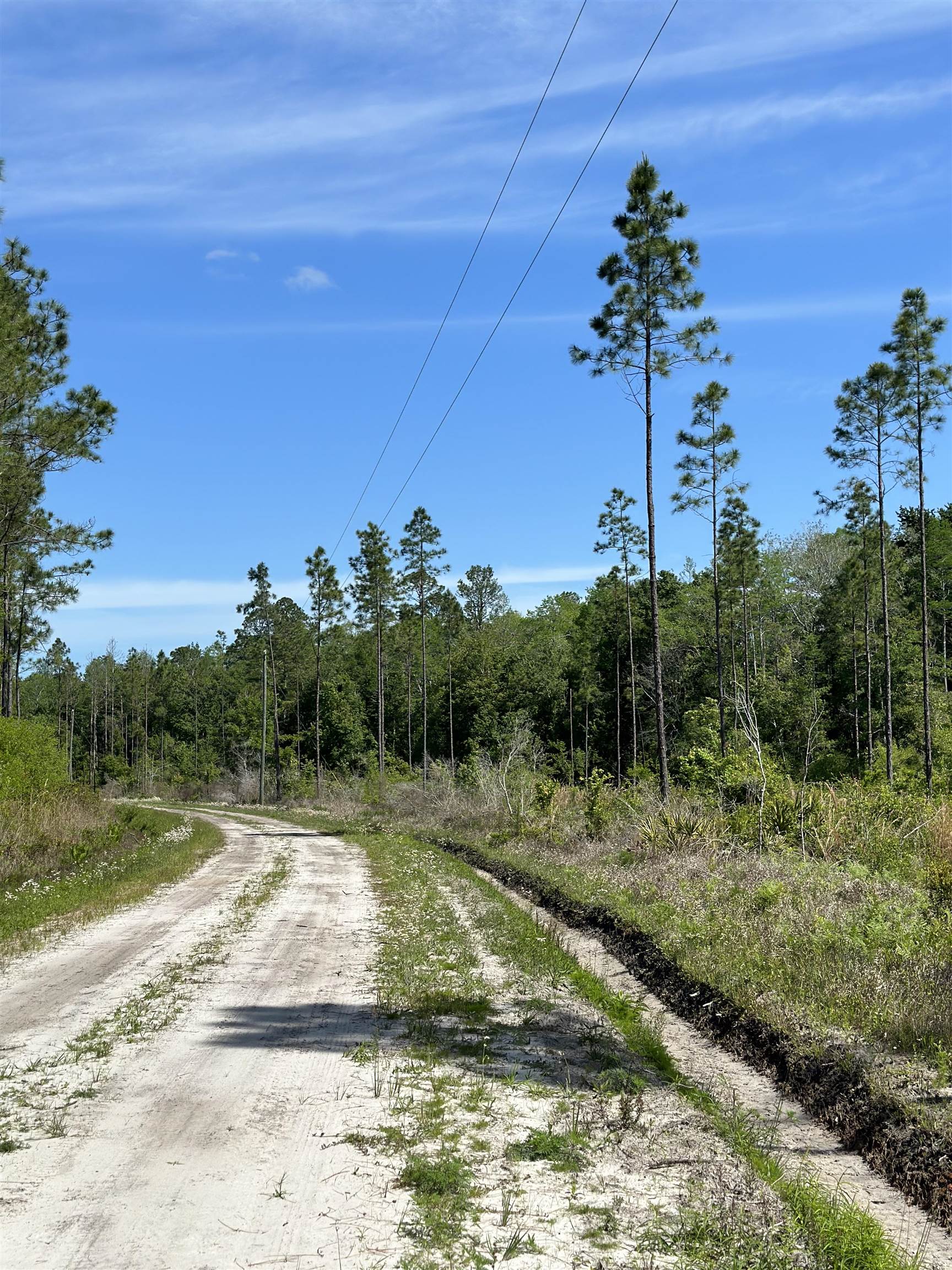 Lot 37 MCMULLEN BRIDGE RD,PERRY,Florida 32347,Lots and land,MCMULLEN BRIDGE RD,357545