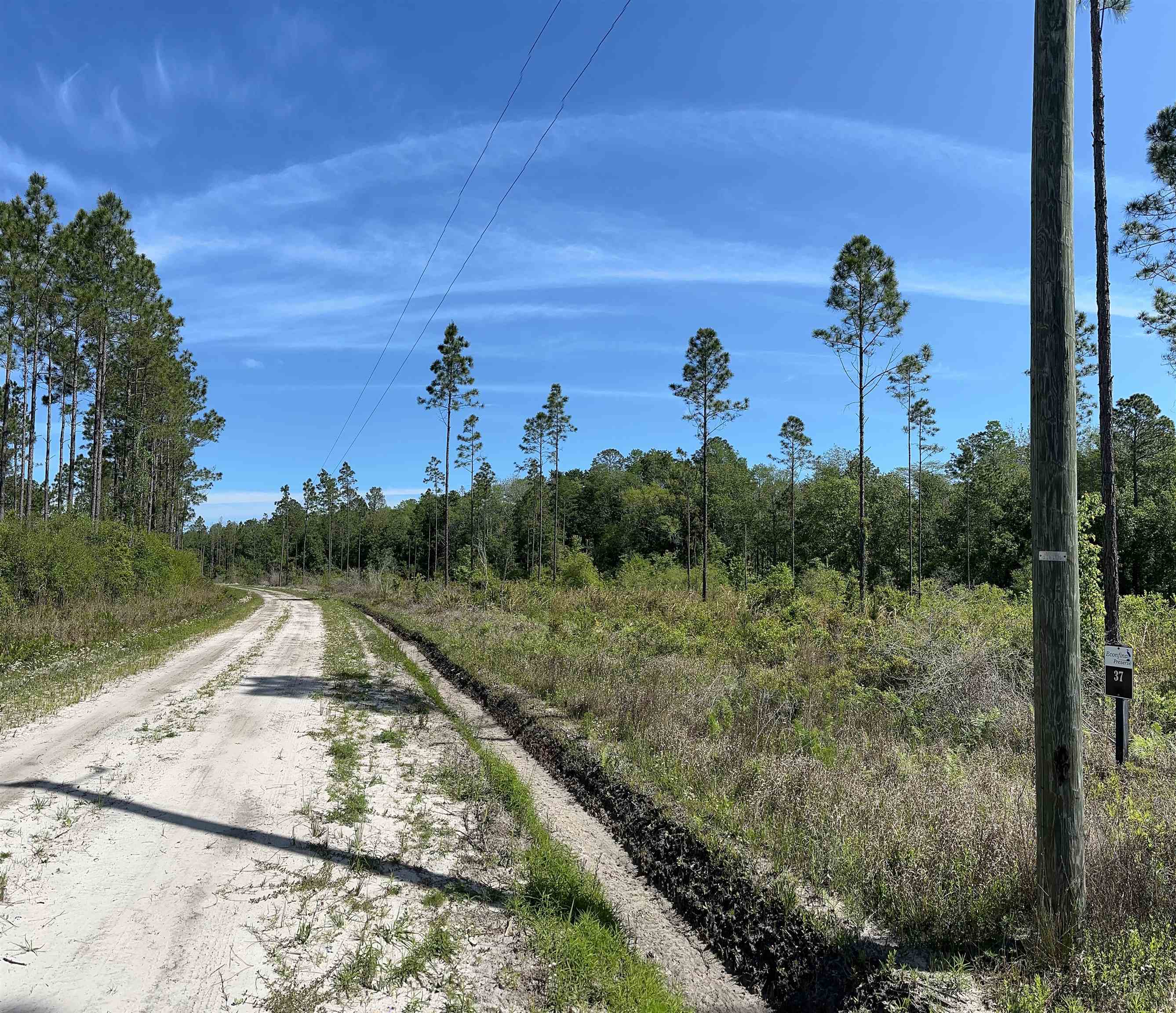 Lot 37 MCMULLEN BRIDGE RD,PERRY,Florida 32347,Lots and land,MCMULLEN BRIDGE RD,357545