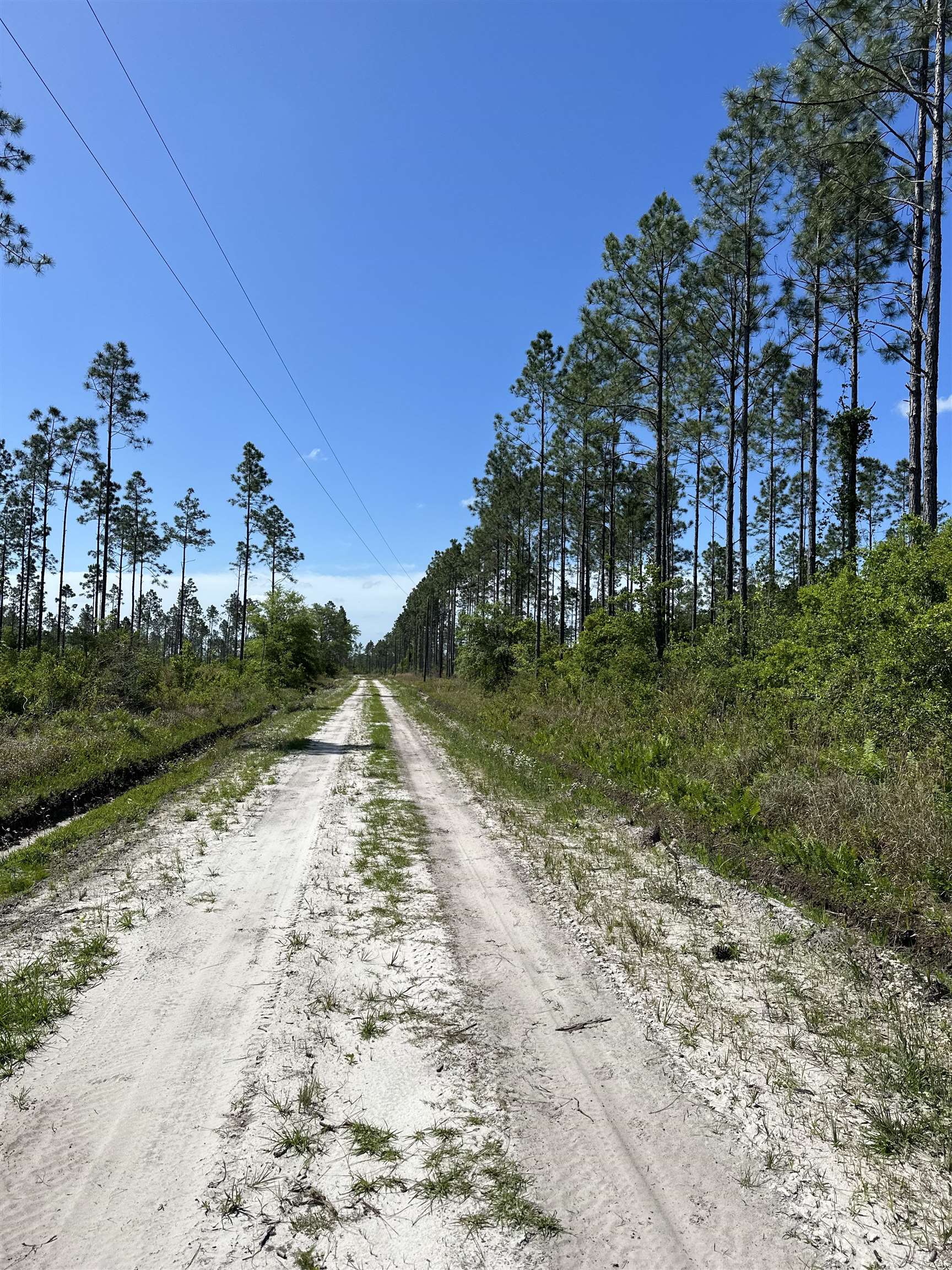 Lot 37 MCMULLEN BRIDGE RD,PERRY,Florida 32347,Lots and land,MCMULLEN BRIDGE RD,357545