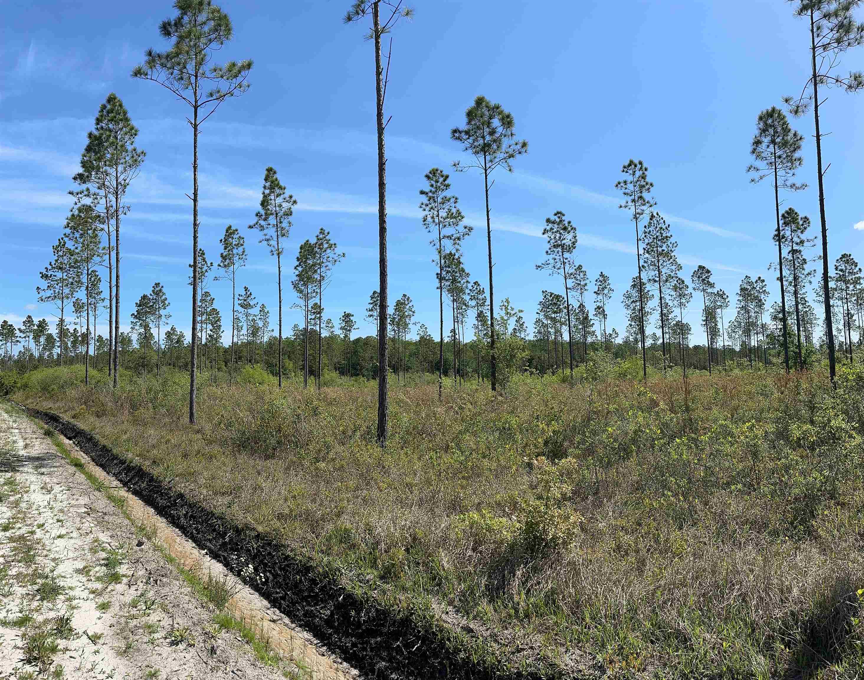 Lot 37 MCMULLEN BRIDGE RD,PERRY,Florida 32347,Lots and land,MCMULLEN BRIDGE RD,357545