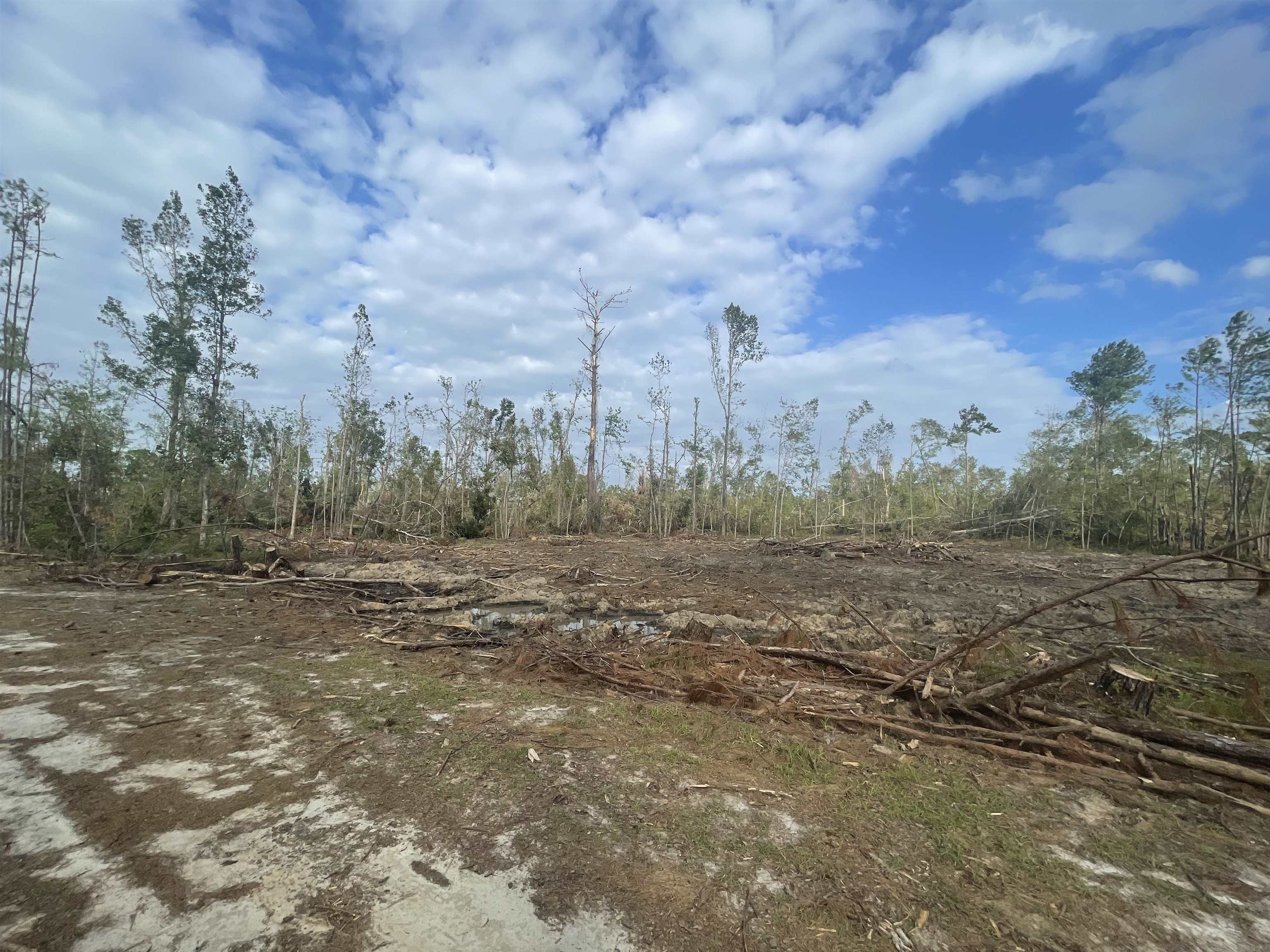 Vacant Canaan,MADISON,Florida 32340,Lots and land,Canaan,365248