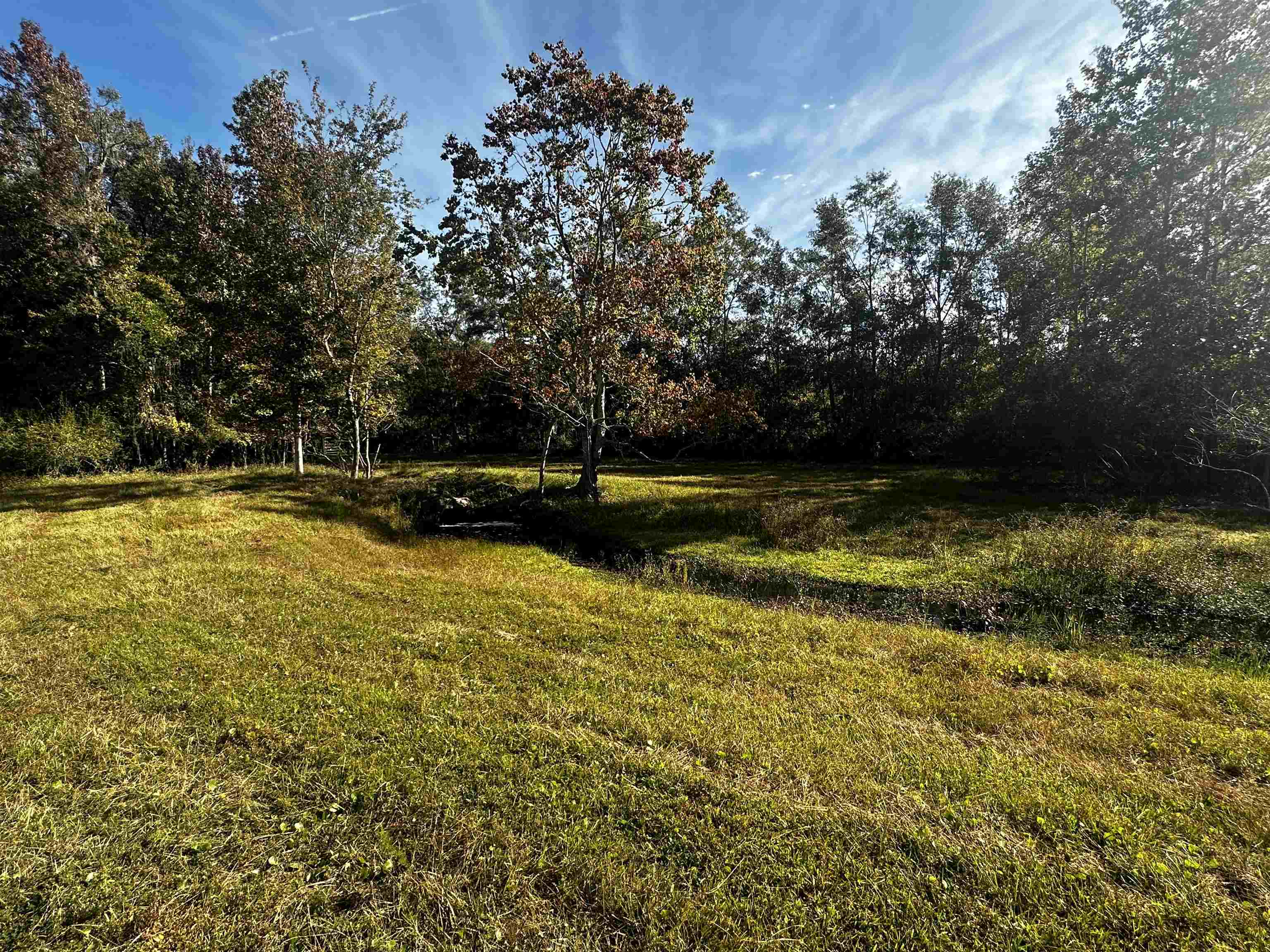 8404 State Rd 53-Vacant Lot,MADISON COUNTY,Florida 32340,Lots and land,State Rd 53-Vacant Lot,368390