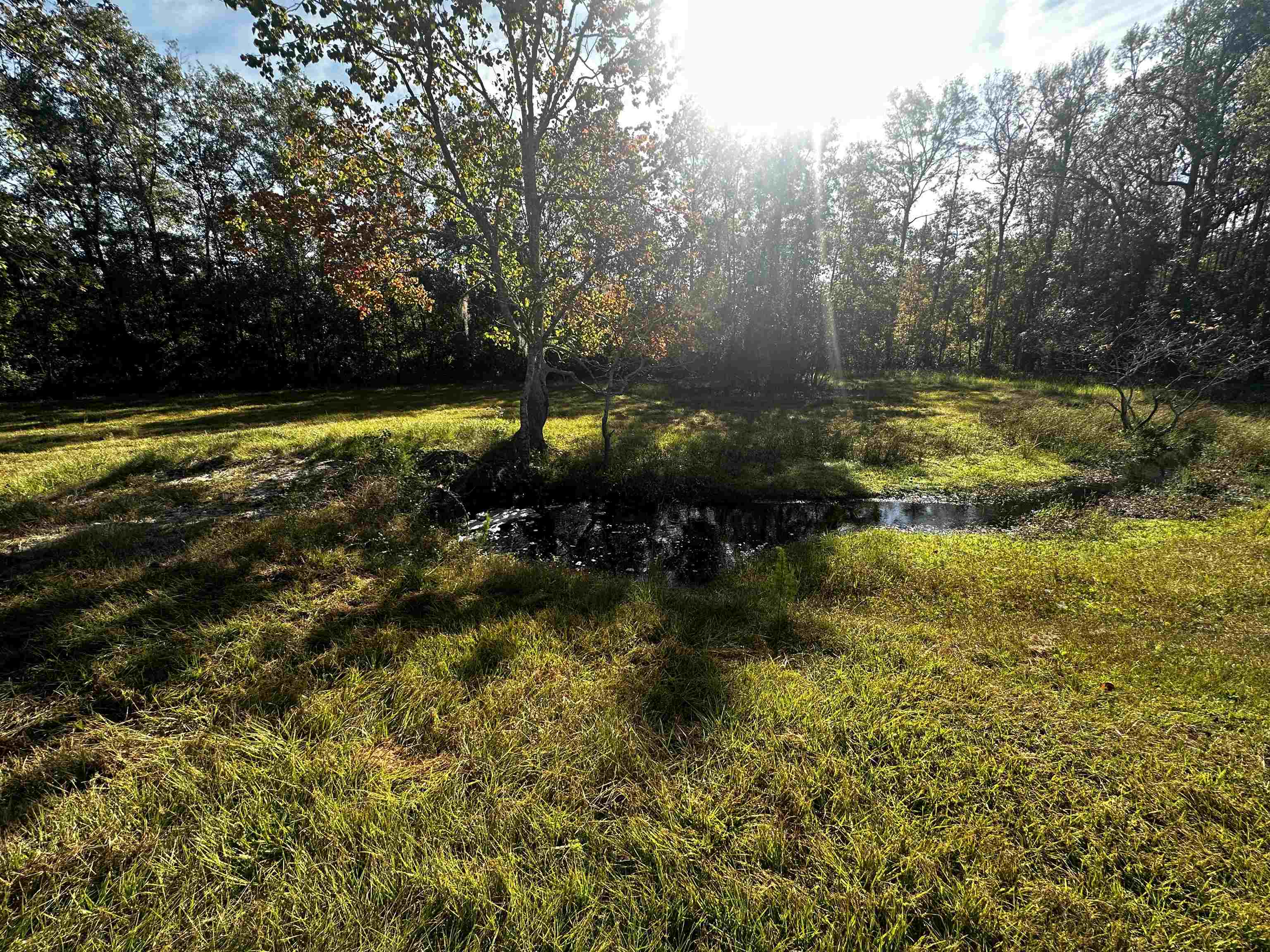 8404 State Rd 53-Vacant Lot,MADISON COUNTY,Florida 32340,Lots and land,State Rd 53-Vacant Lot,368390