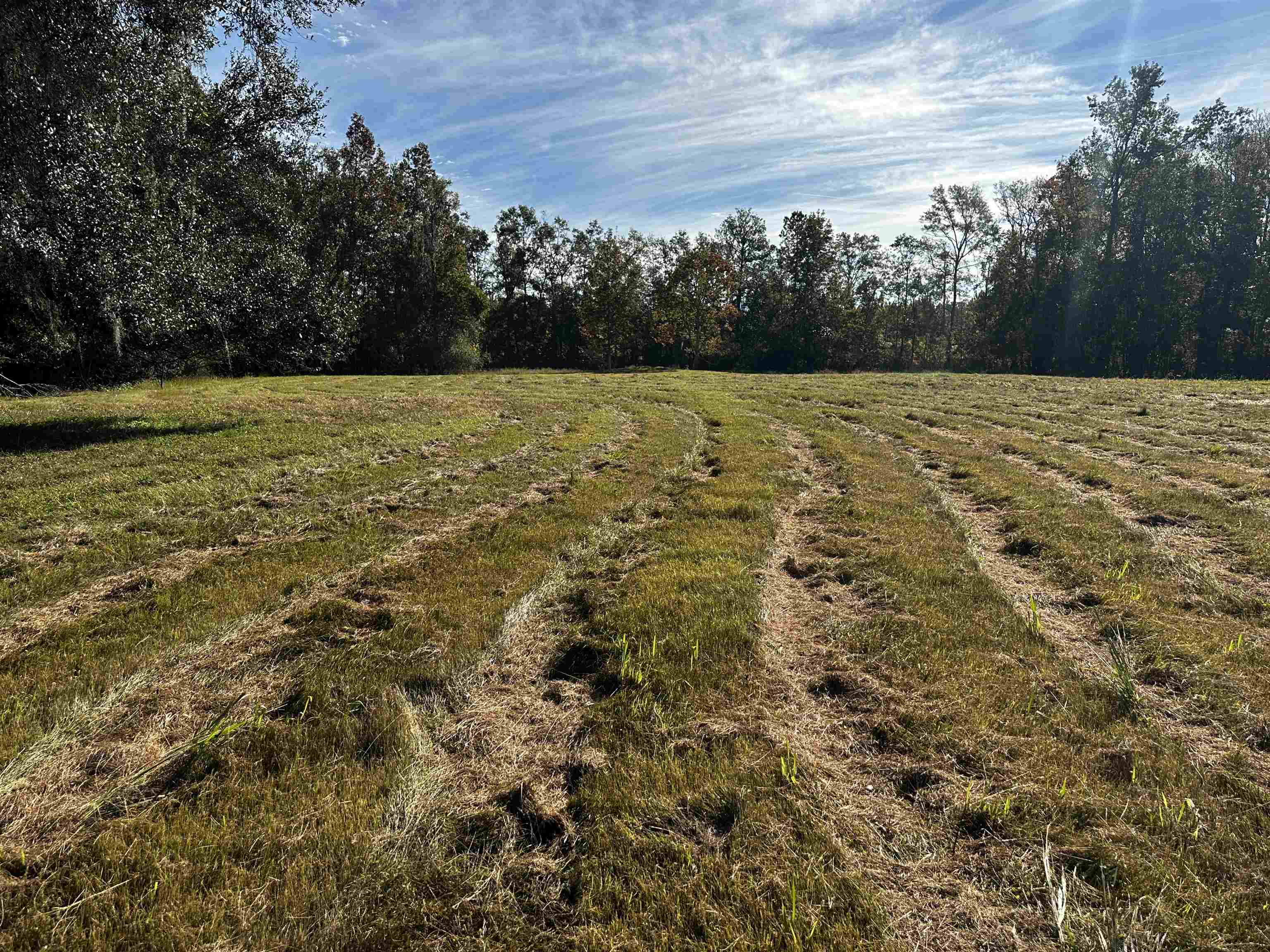8404 State Rd 53-Vacant Lot,MADISON COUNTY,Florida 32340,Lots and land,State Rd 53-Vacant Lot,368390