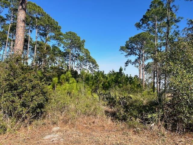 136 Levy Bay,PANACEA,Florida 32346,Lots and land,Levy Bay,368402