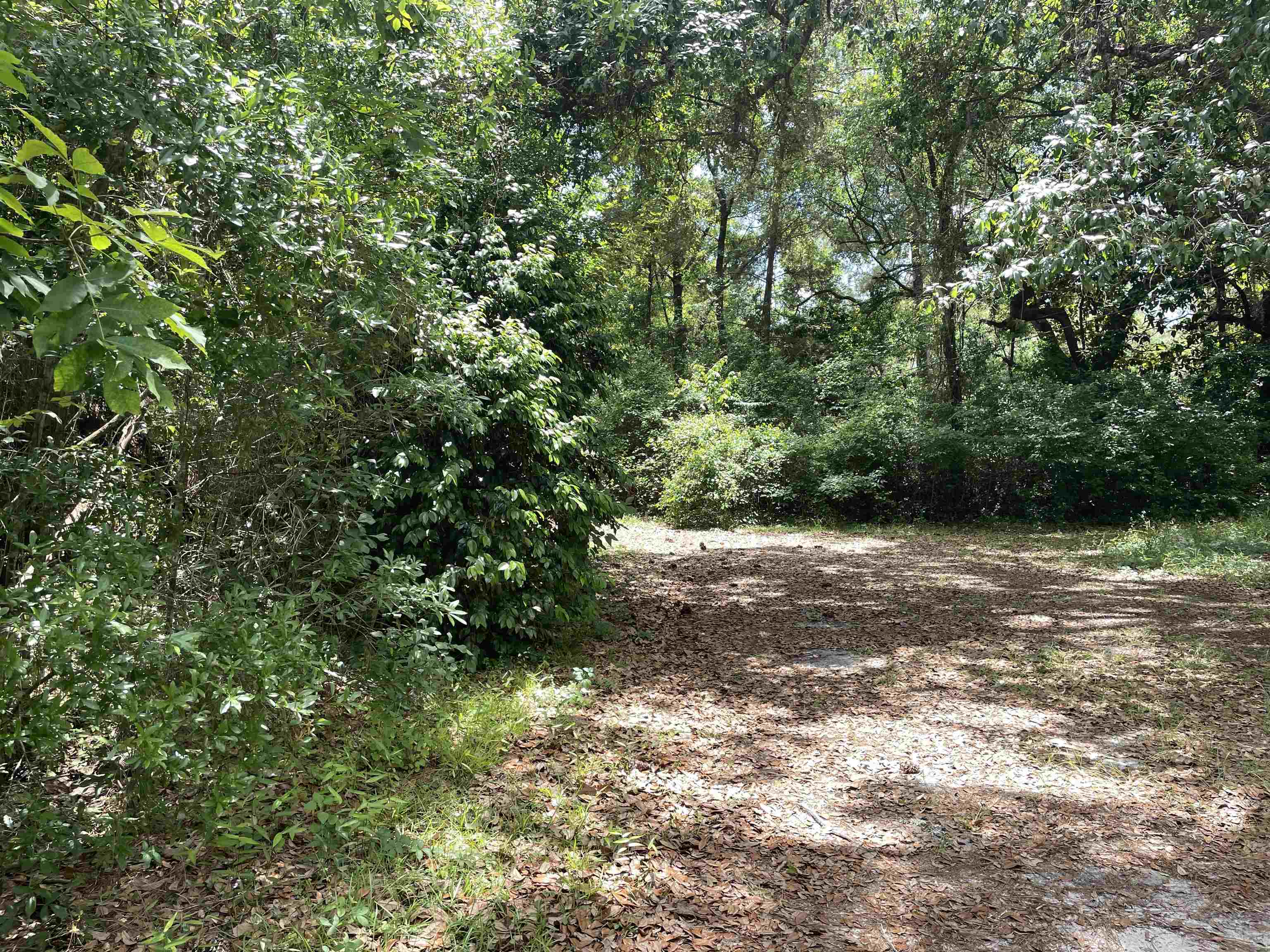 5050 Oleander,TALLAHASSEE,Florida 32305,Lots and land,Oleander,358055