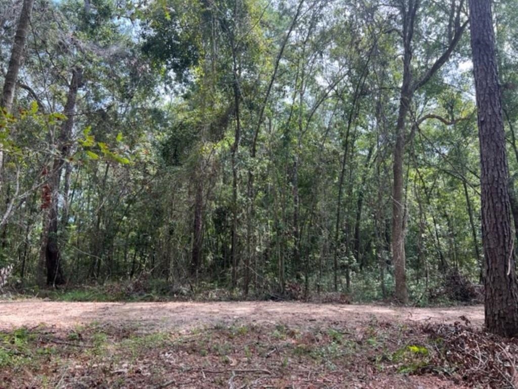 98 Cox,MONTICELLO,Florida 32344,Lots and land,Cox,365338