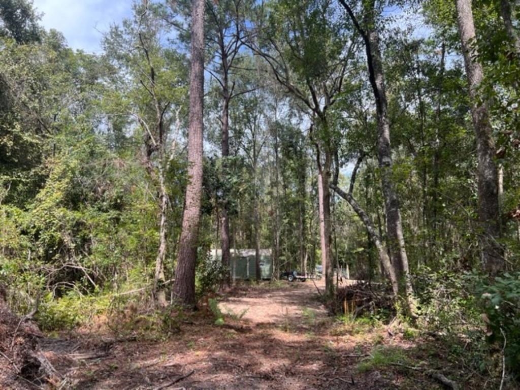 98 Cox,MONTICELLO,Florida 32344,Lots and land,Cox,365338