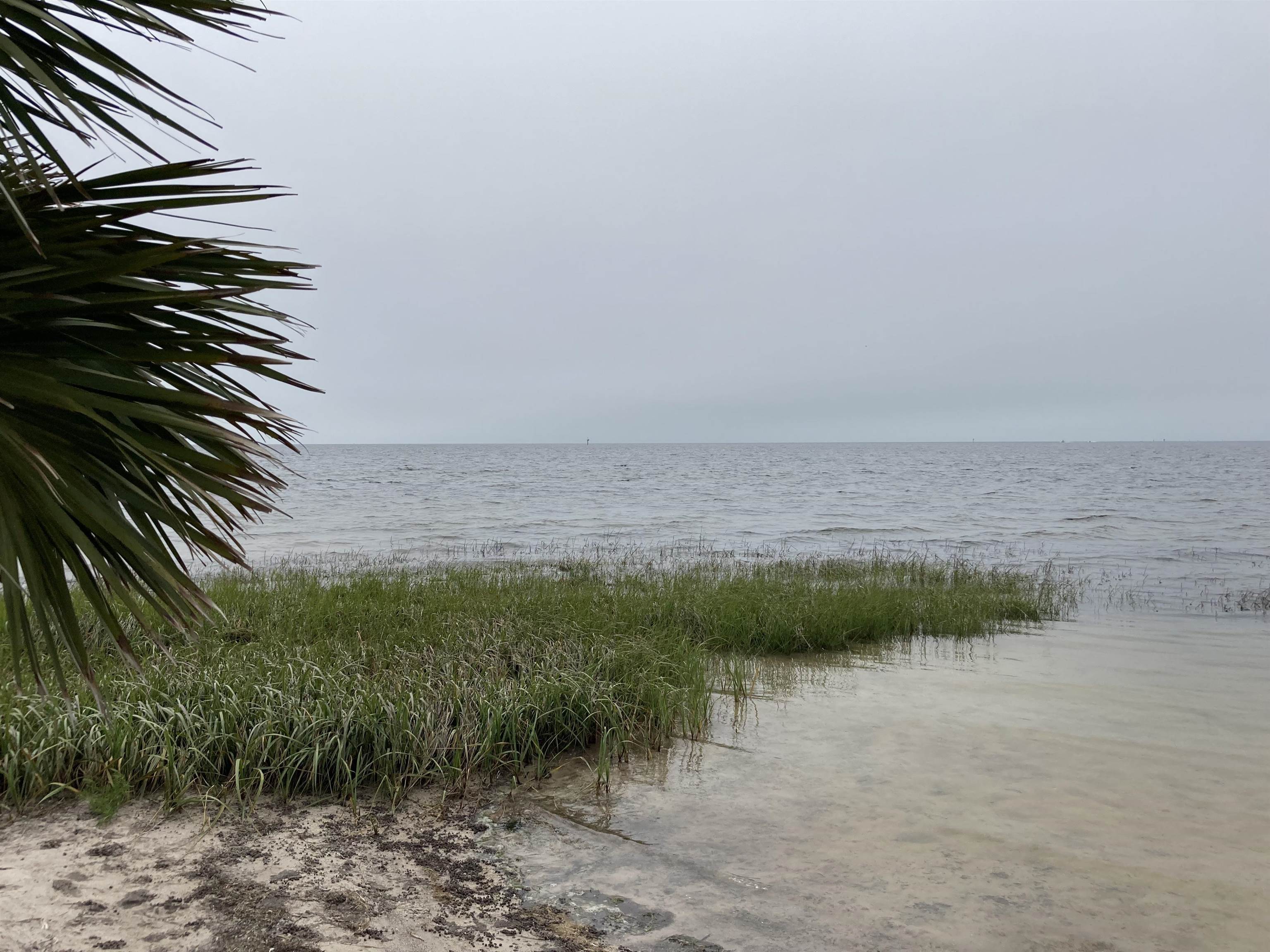 0 Sea Urchin,PERRY,Florida 32348,Lots and land,Sea Urchin,358100