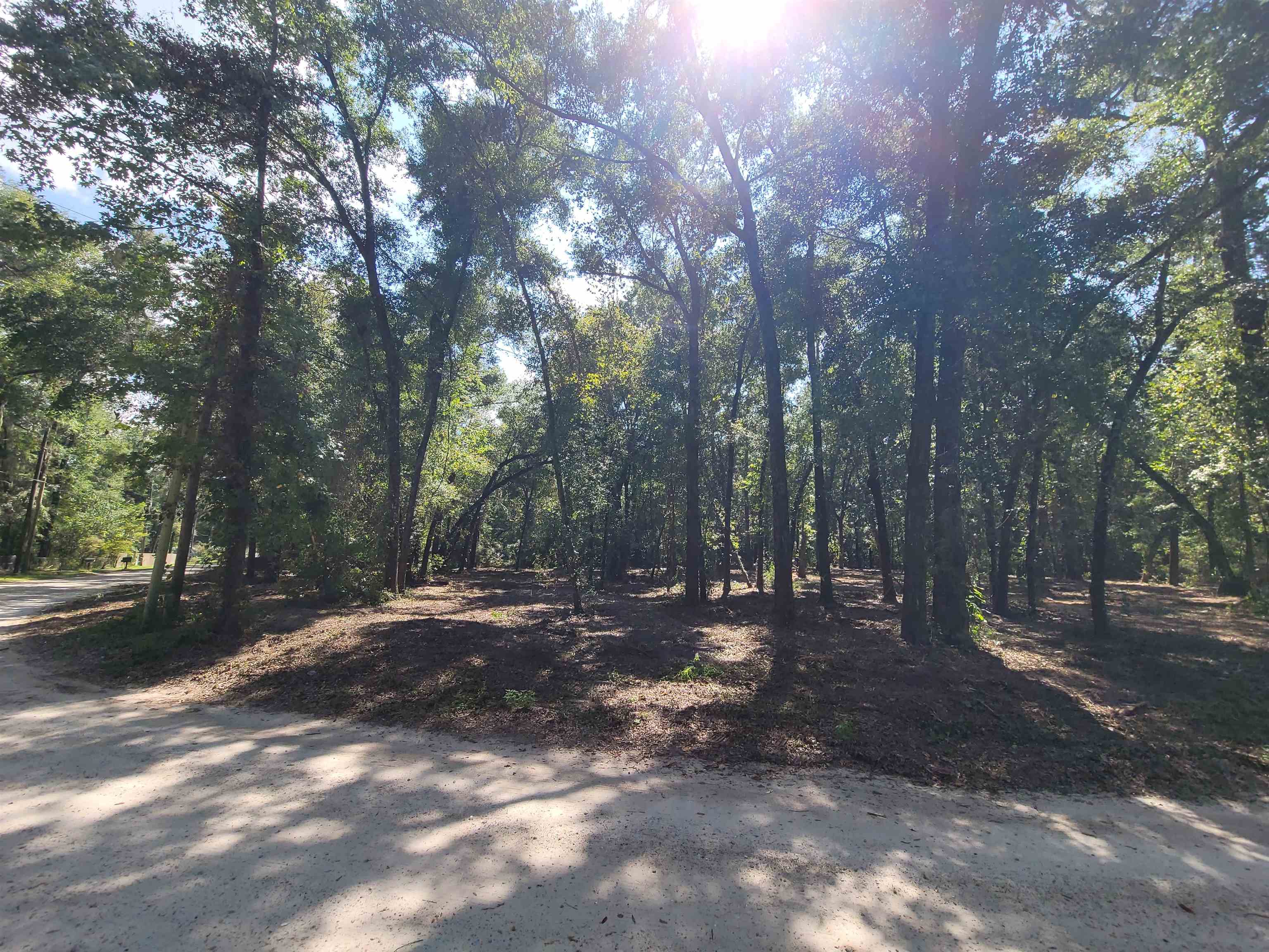 LOT 4B PARRAMORE SHORES,TALLAHASSEE,Florida 32310,Lots and land,PARRAMORE SHORES,358134