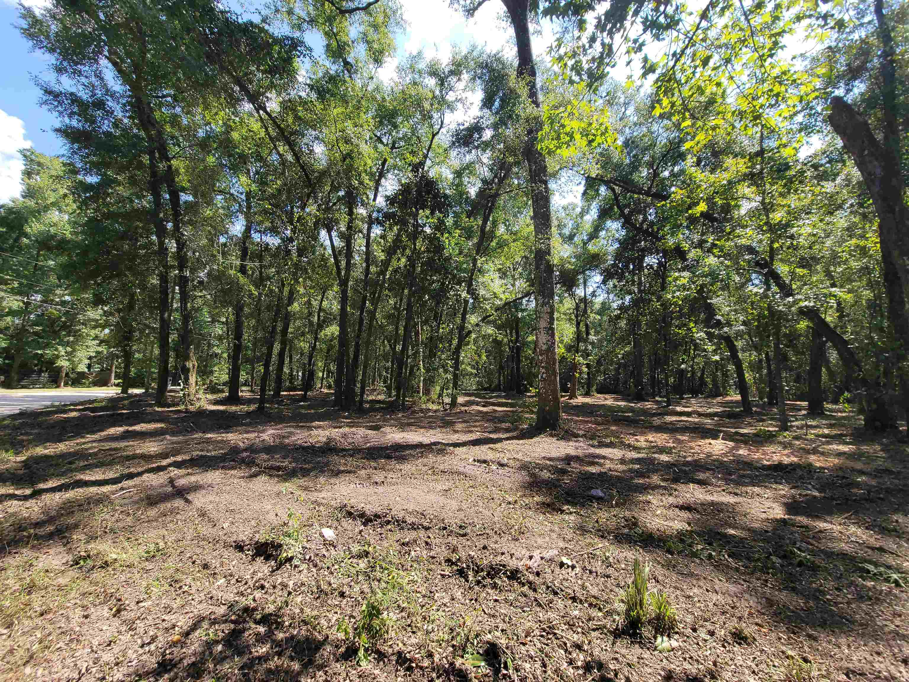 LOT 4B PARRAMORE SHORES,TALLAHASSEE,Florida 32310,Lots and land,PARRAMORE SHORES,358134