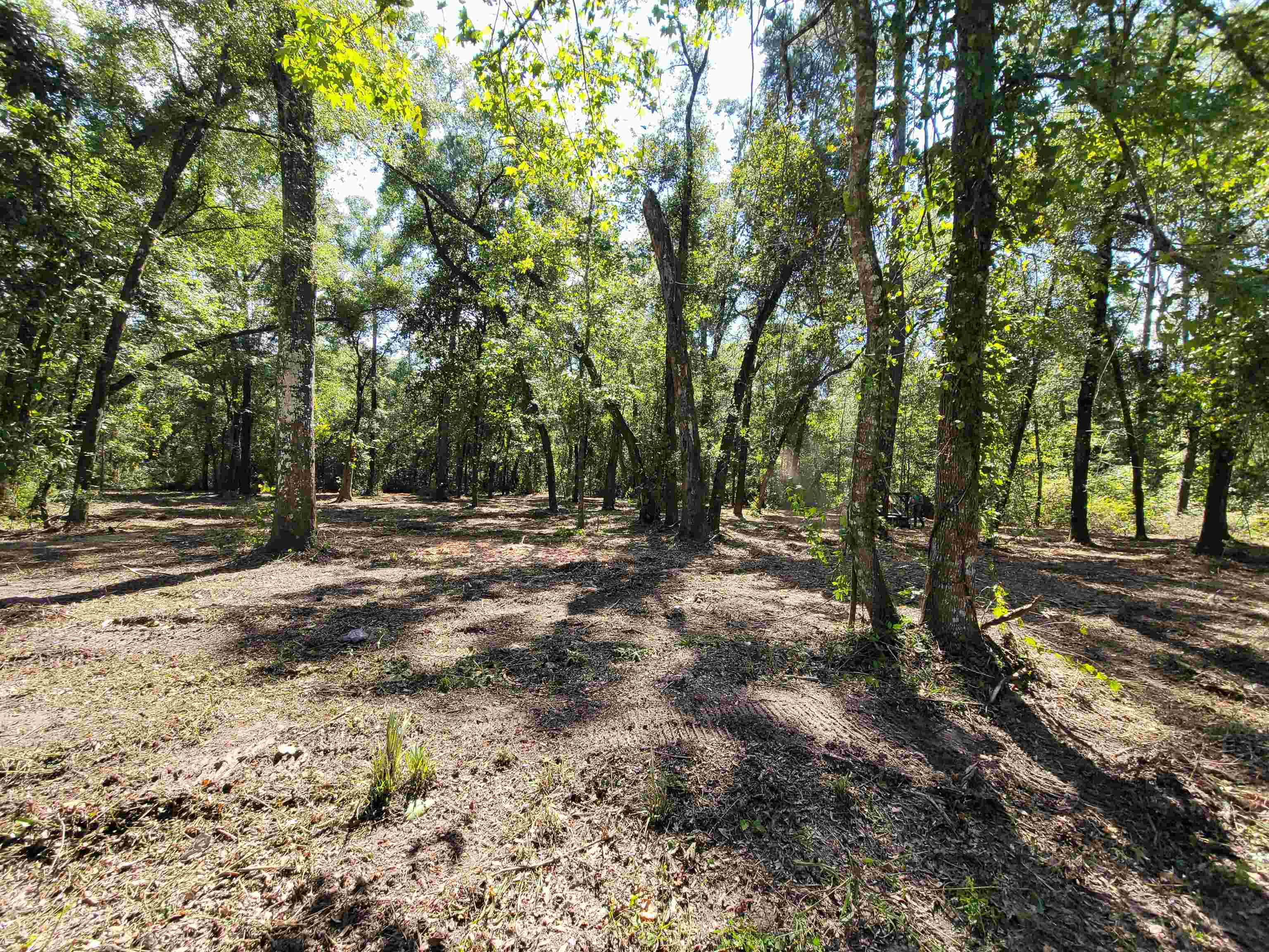 LOT 4B PARRAMORE SHORES,TALLAHASSEE,Florida 32310,Lots and land,PARRAMORE SHORES,358134