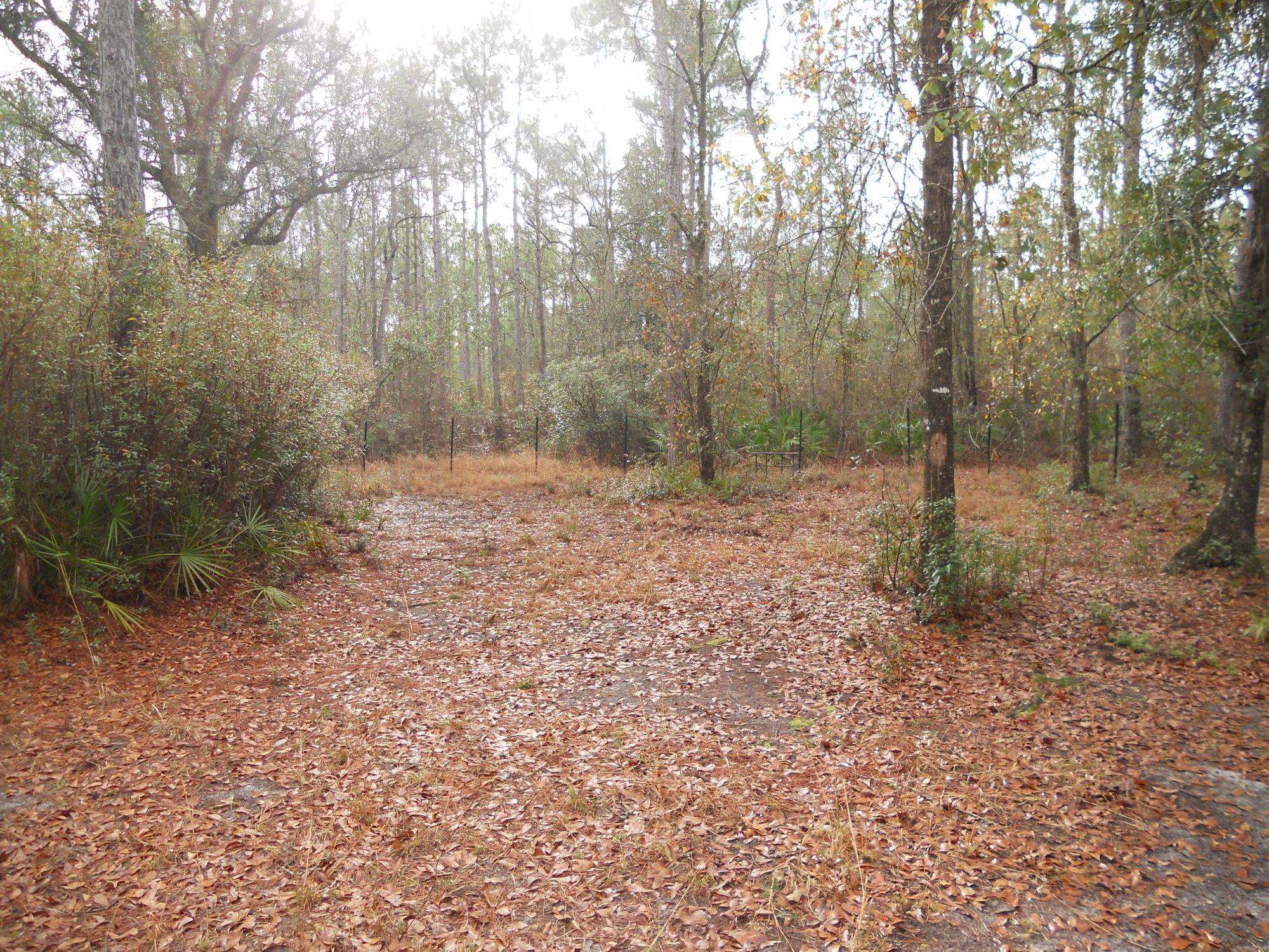 4862 Old Indian,TALLAHASSEE,Florida 32310,Lots and land,Old Indian,368430