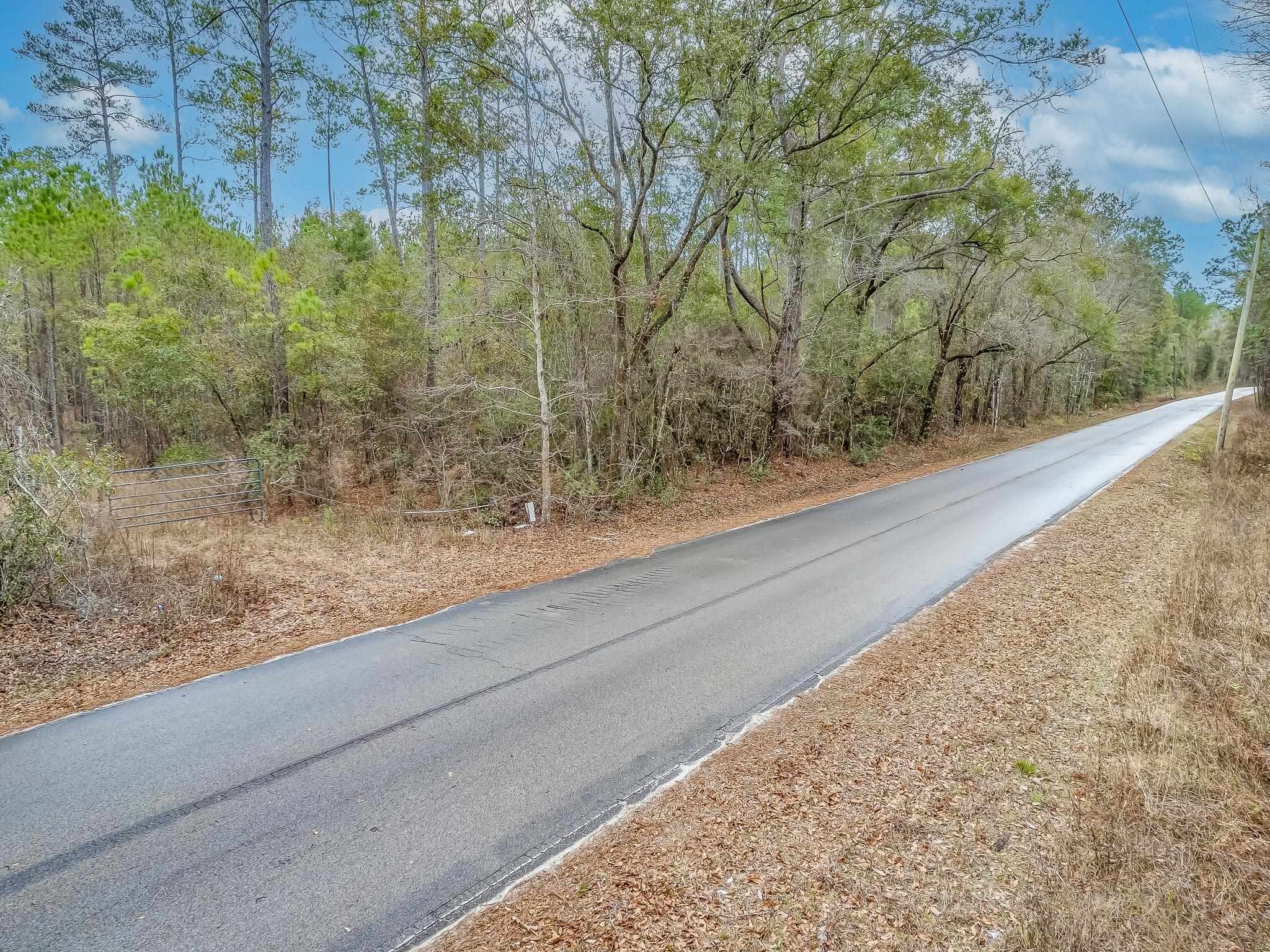 XX Oak Park Road,SOPCHOPPY,Florida 32358,Lots and land,Oak Park Road,365408