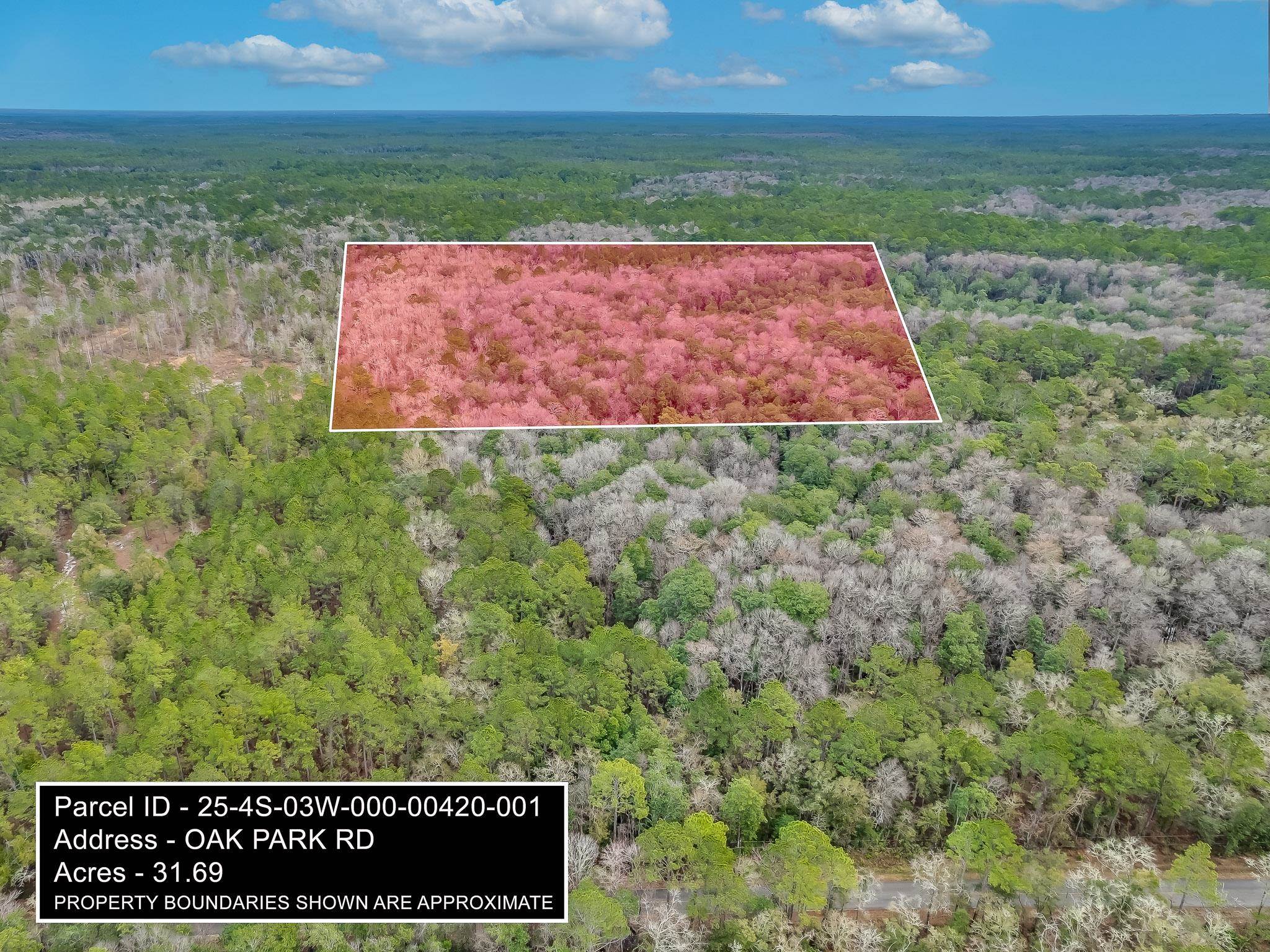 XX Oak Park Road,SOPCHOPPY,Florida 32358,Lots and land,Oak Park Road,365408