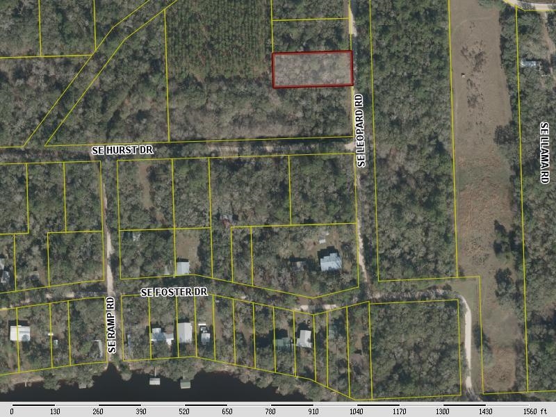 00 Leopard,BRANFORD,Florida 32008,Lots and land,Leopard,358270