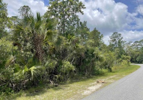 Lot 1 B Seargent Preble,ST MARKS,Florida 32355,Lots and land,Seargent Preble,365475