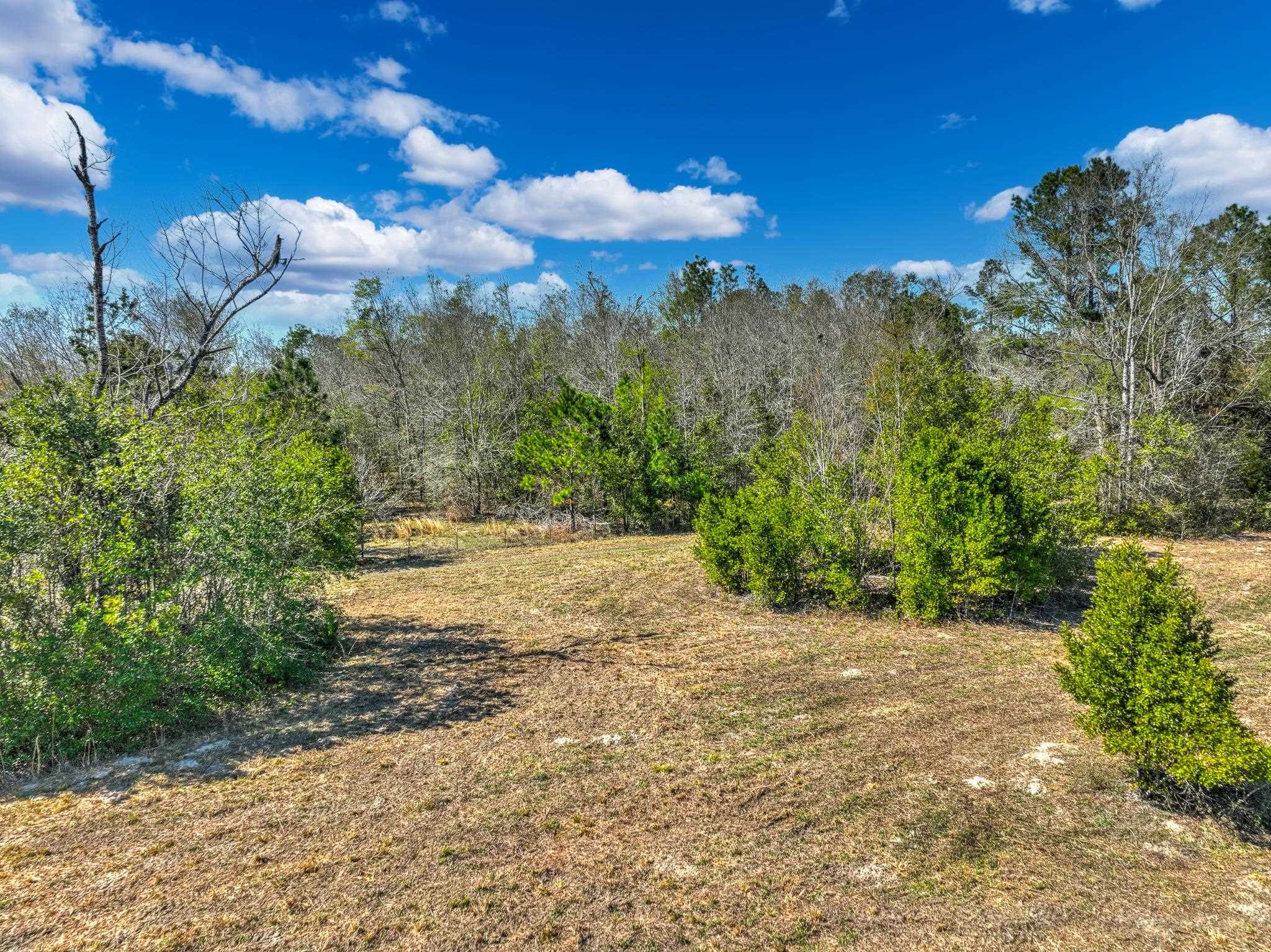 TBD Johnson Stripling,PERRY,Florida 32347,Lots and land,Johnson Stripling,368457